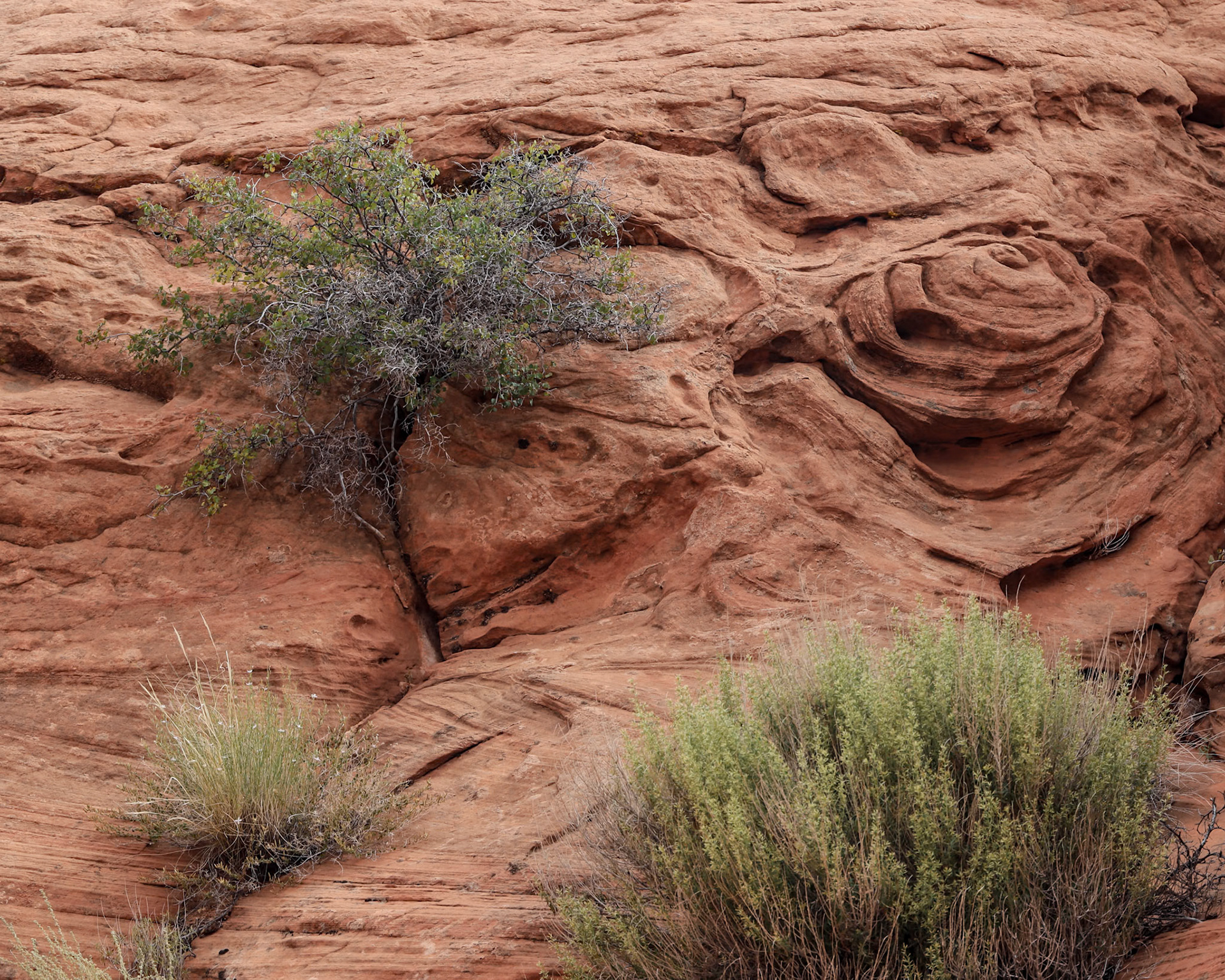 Waterholes Slot Canyon, Page AZ