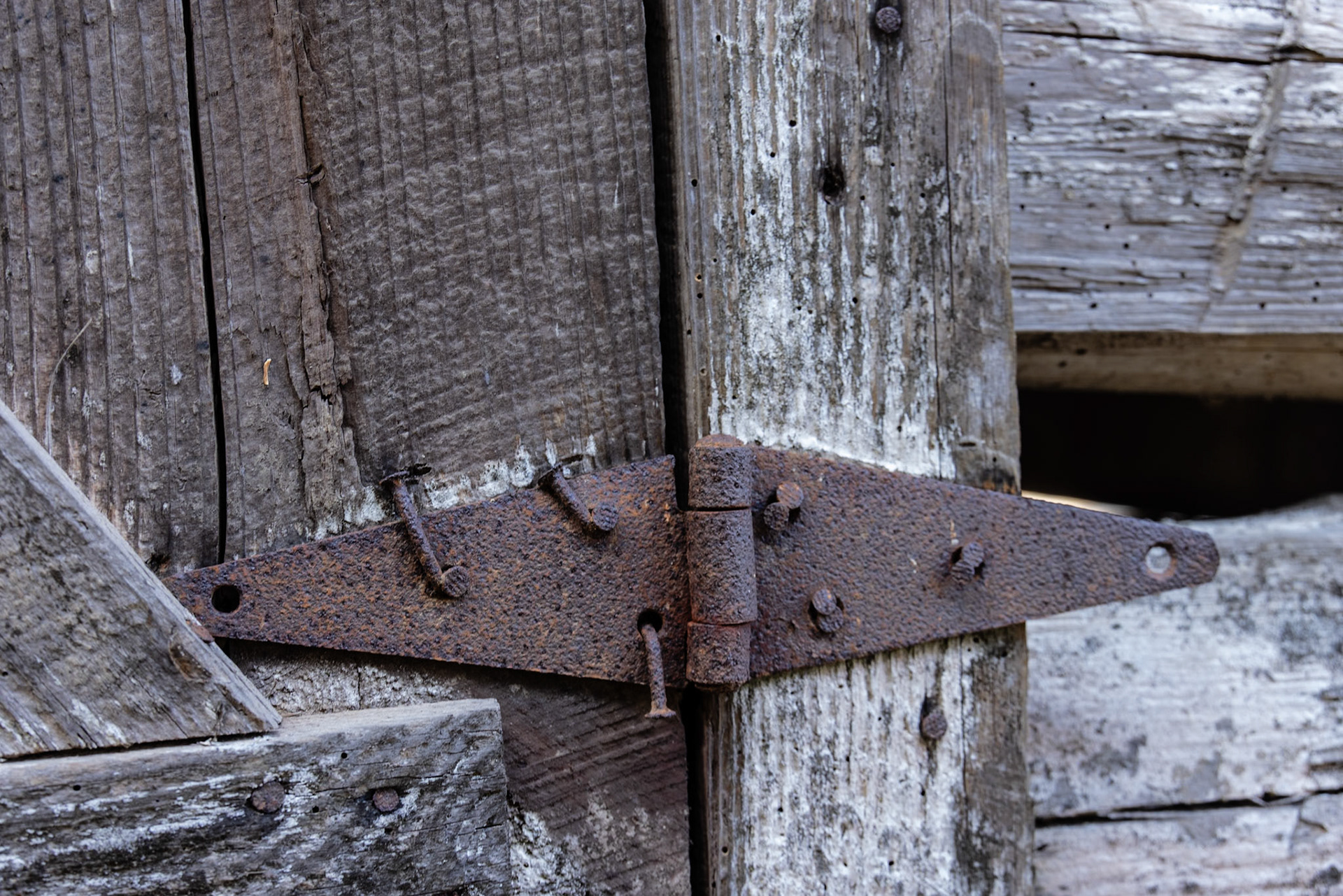 Tannehill Ironworks SP, AL