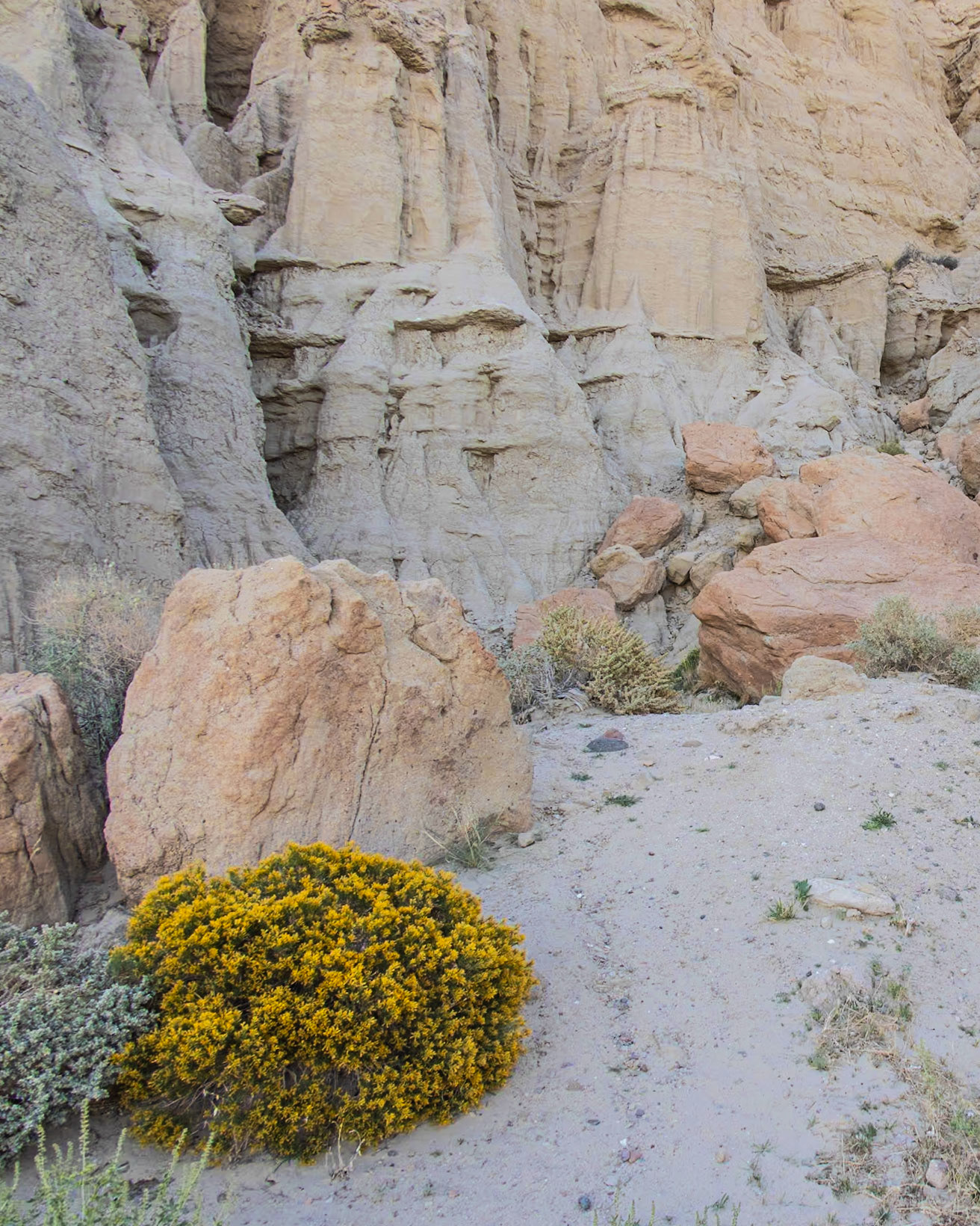 Red Rock Canyon SP CG, Ricardo CA