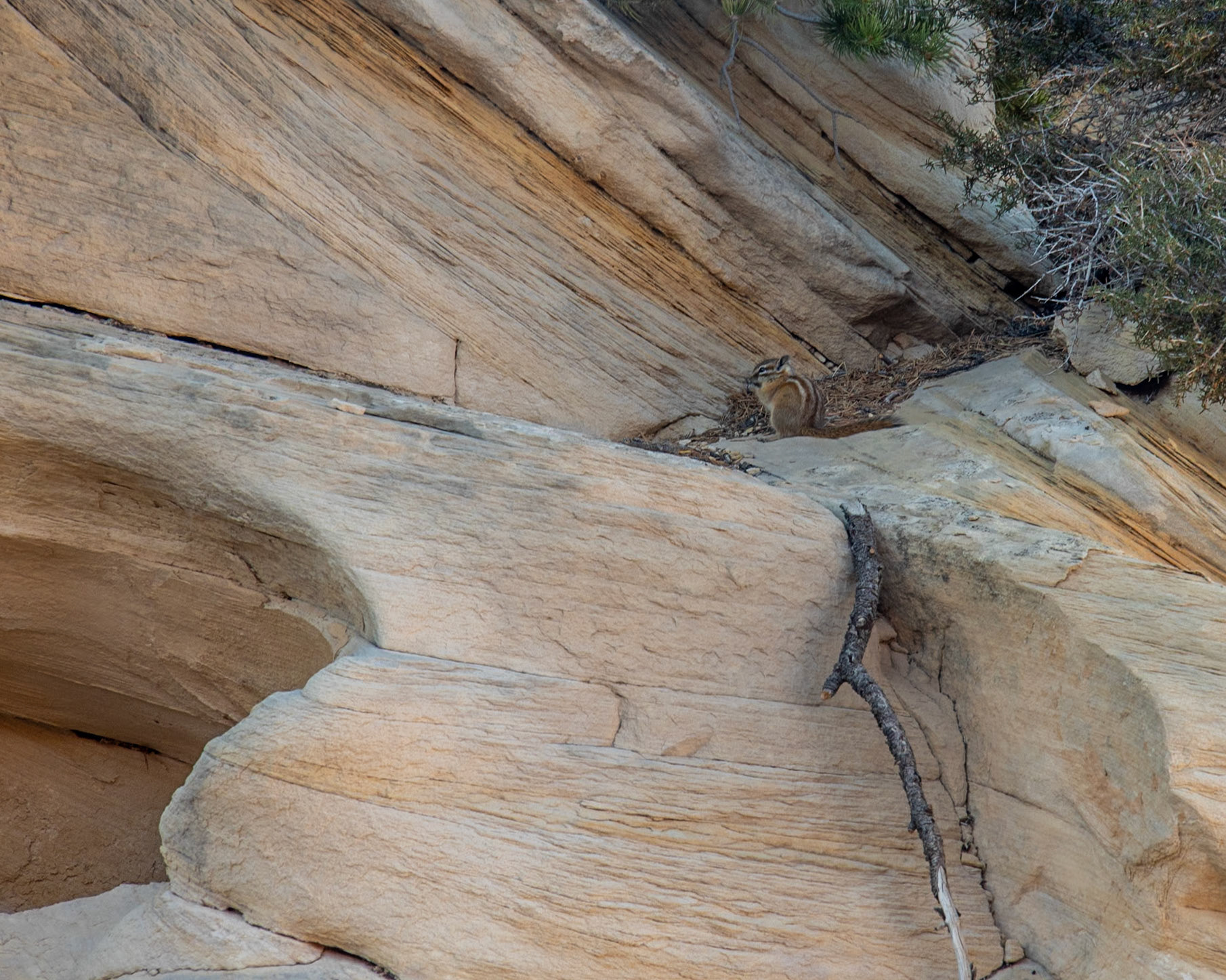 Cassidy Canyon, Fruita UT