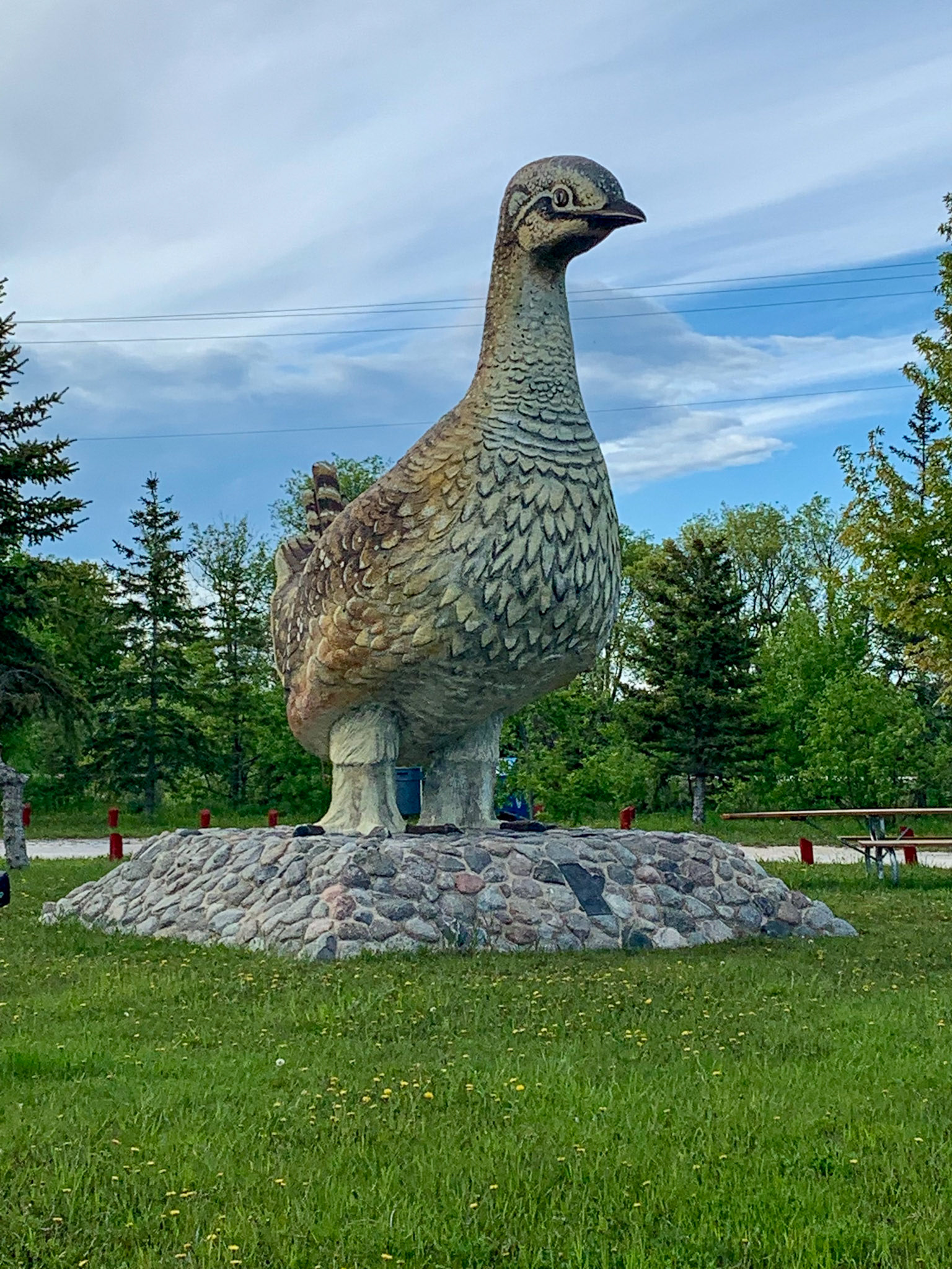 Sharptail CG, Ashern Manitoba