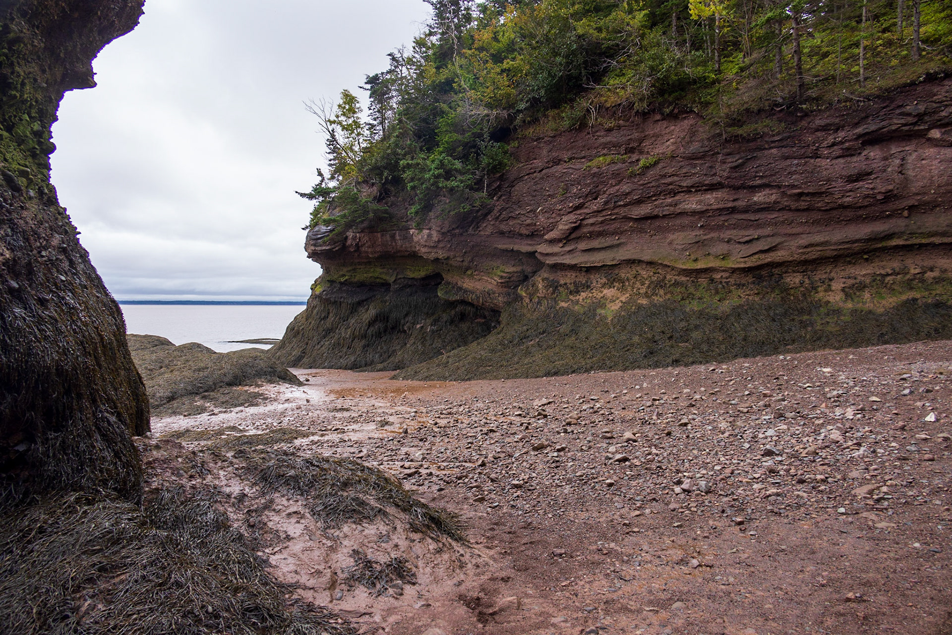 Hopewell Rocks PP, New Brunswick