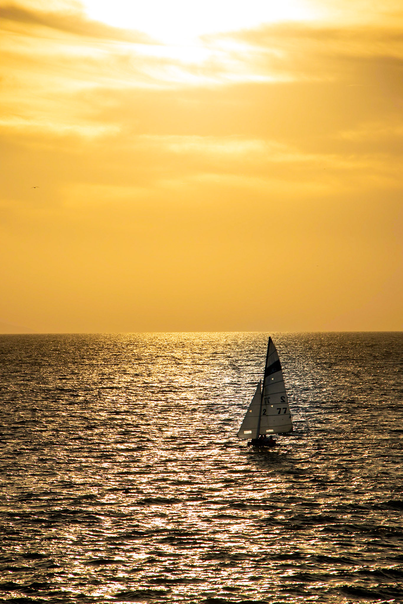 Puerto Vallerta, Mexico
