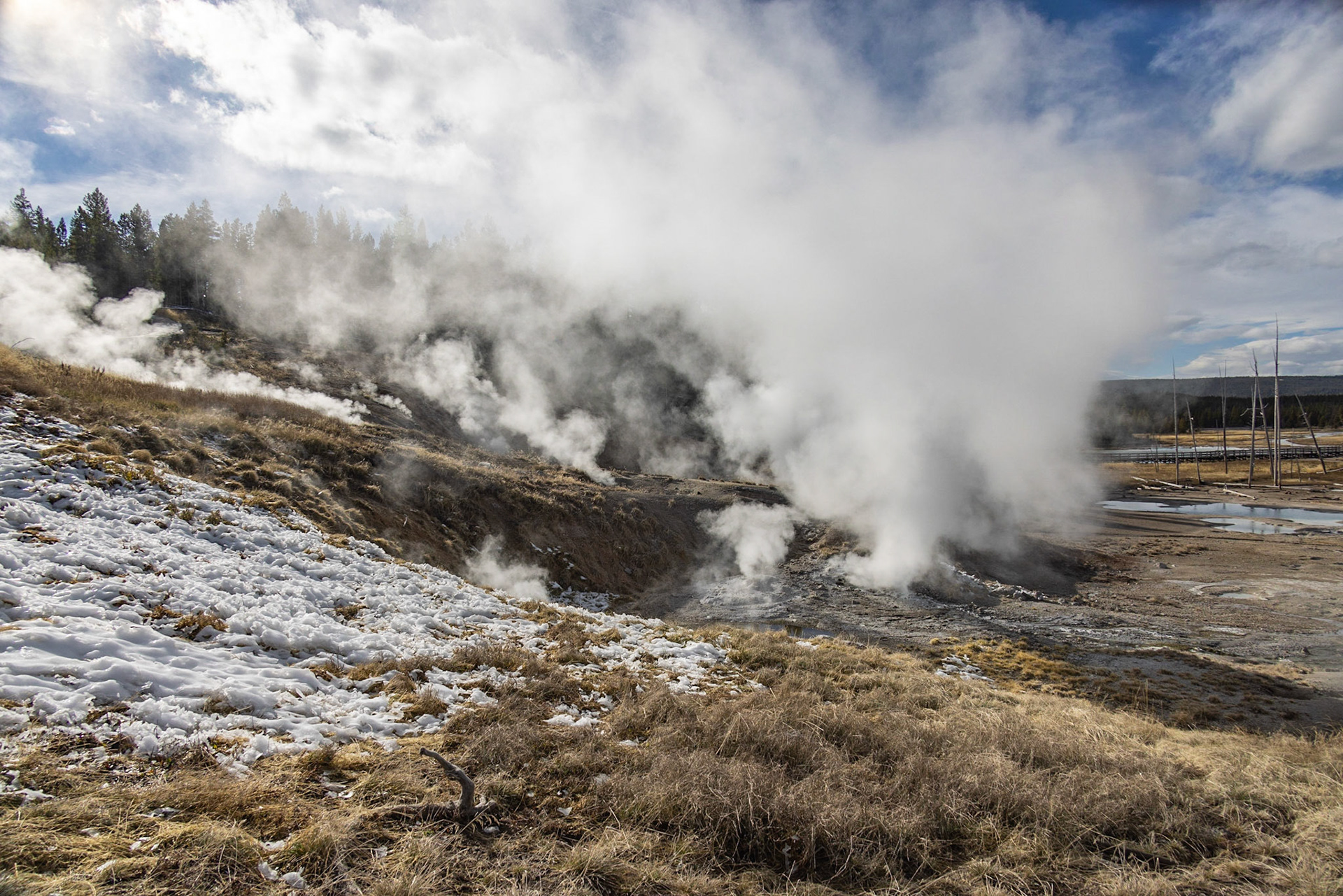 Norris Geyser Basin YNP WY