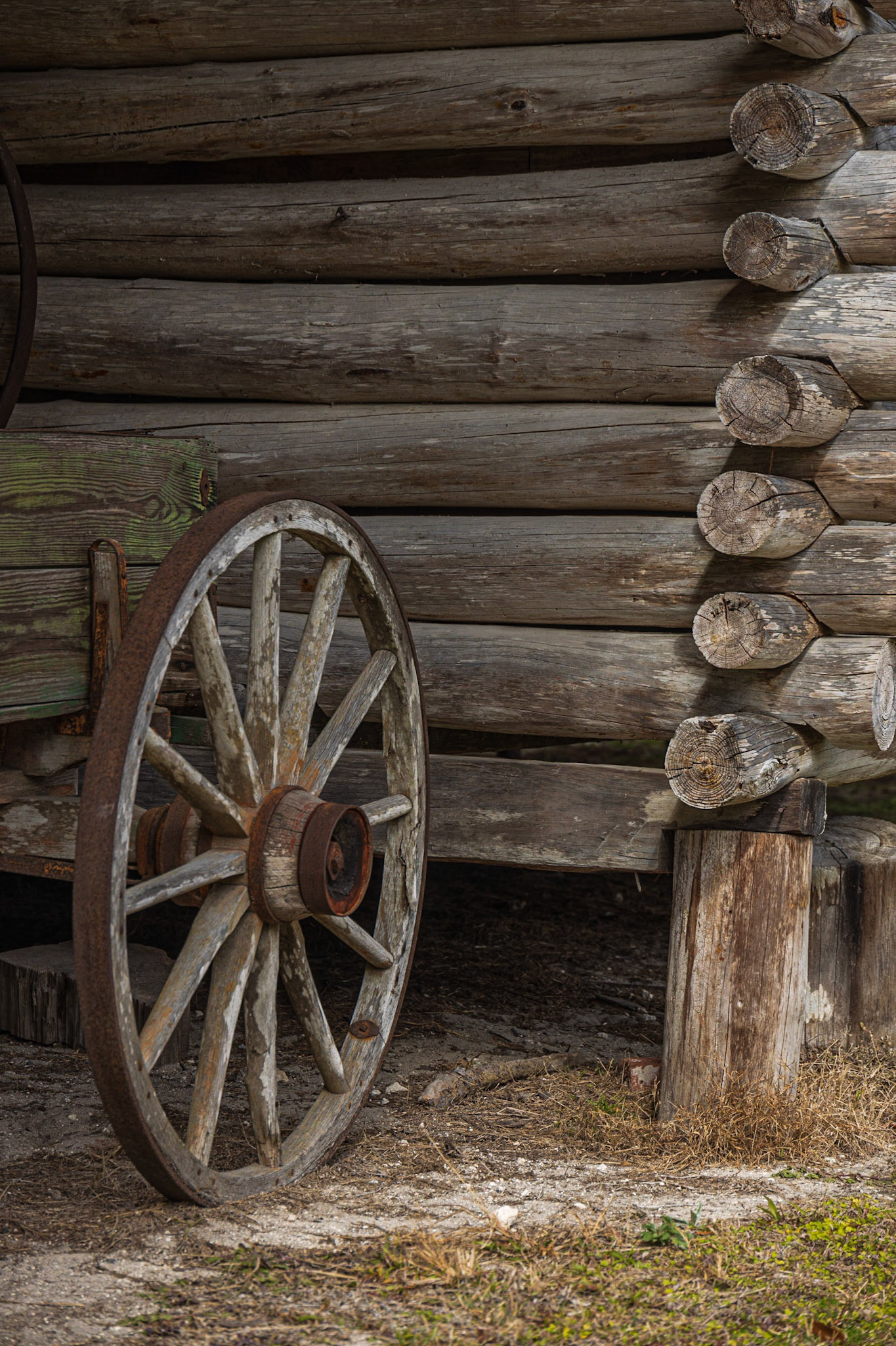 Forest Capital Museum SP