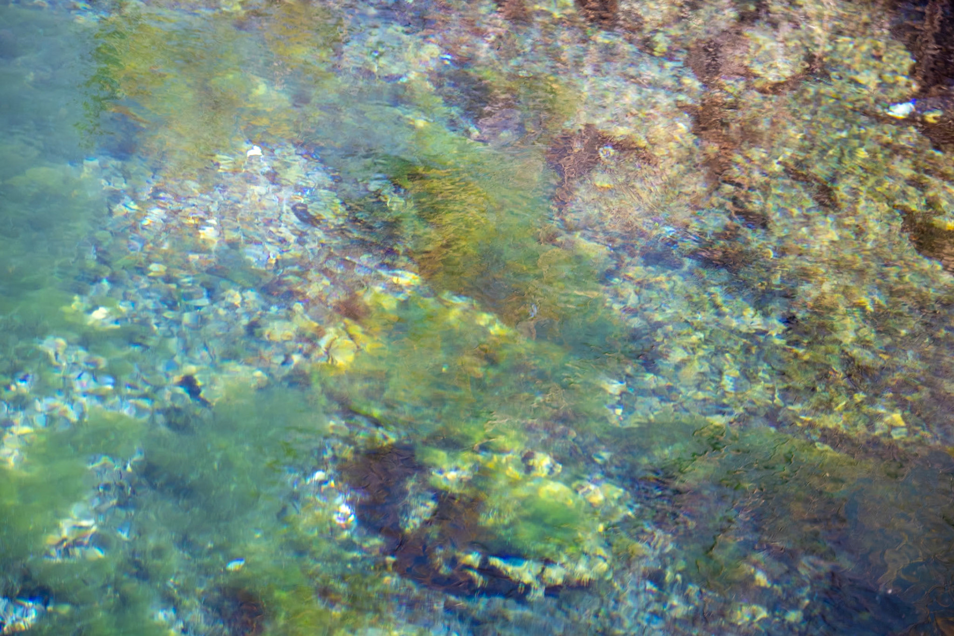 Ash Meadows National Wildlife Reserve, Pahrump NV