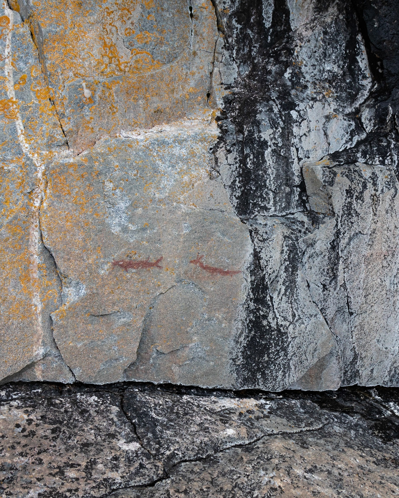 Lake Superior Provincial Park, ON