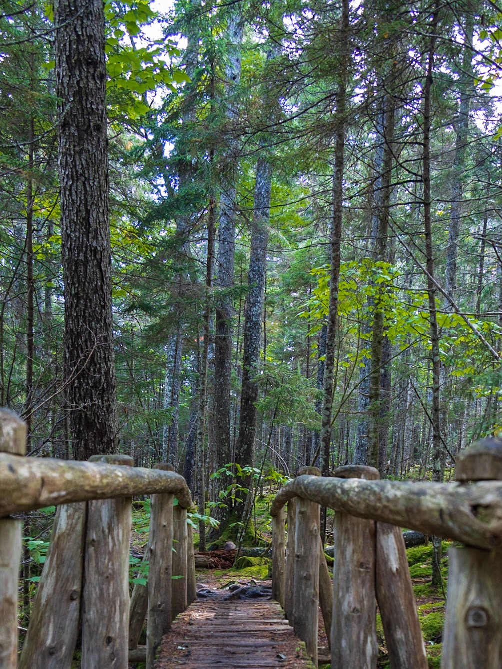 Hunters Beach Trail, ME