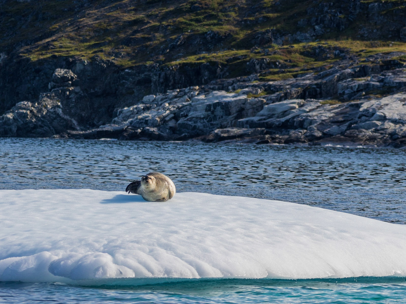 Zodiac ride back to Base Camp, Torngats, NL