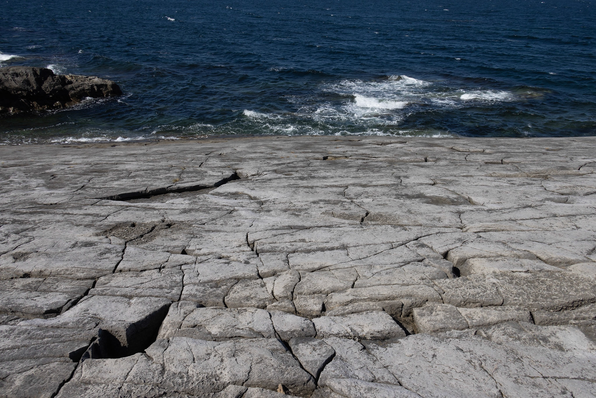 Table Point Ecological Preserve, NL