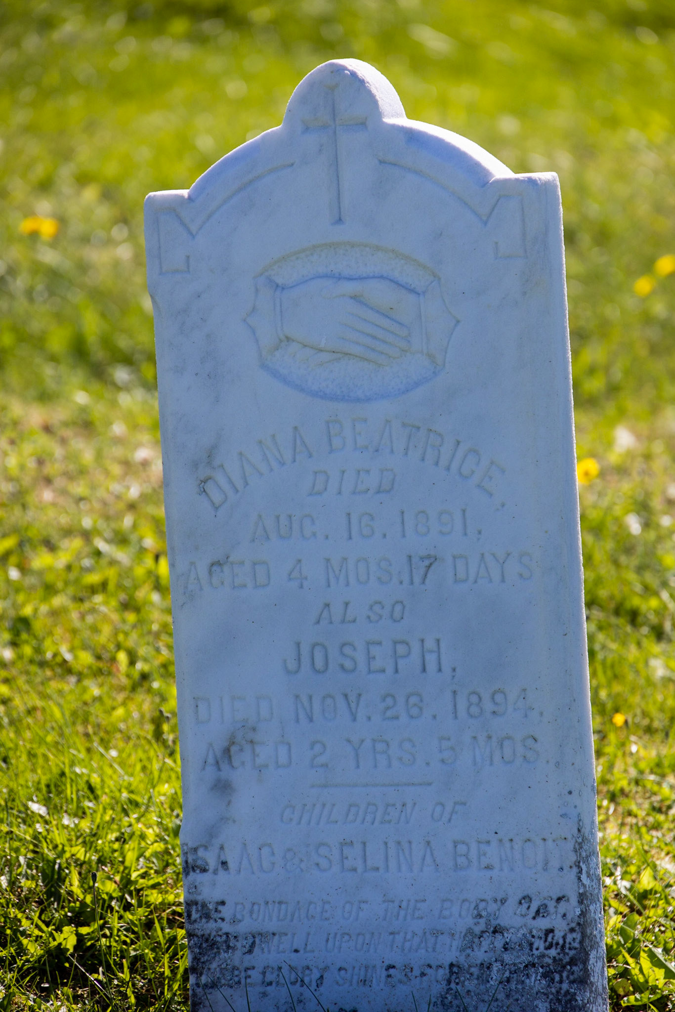 Cow Head Cemetery, NL
