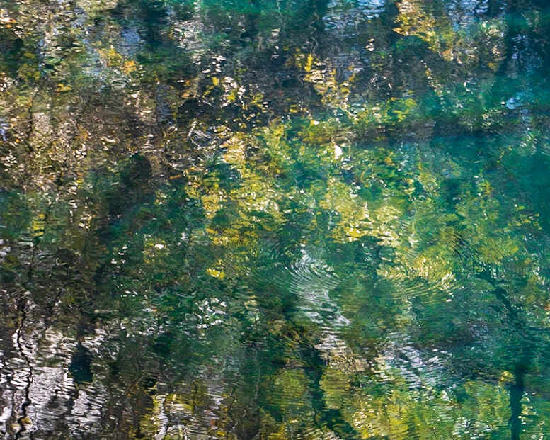 Leon Sinks Geological Area, FL