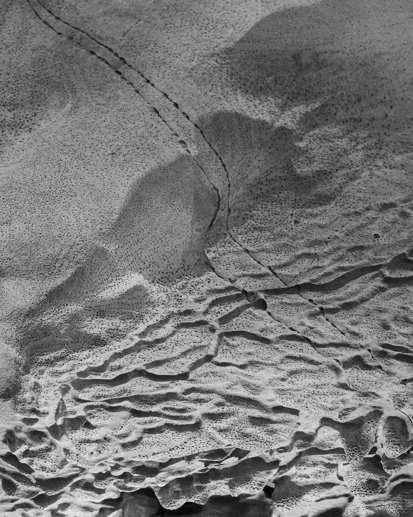 Rickwood Caverns, Warrior AL