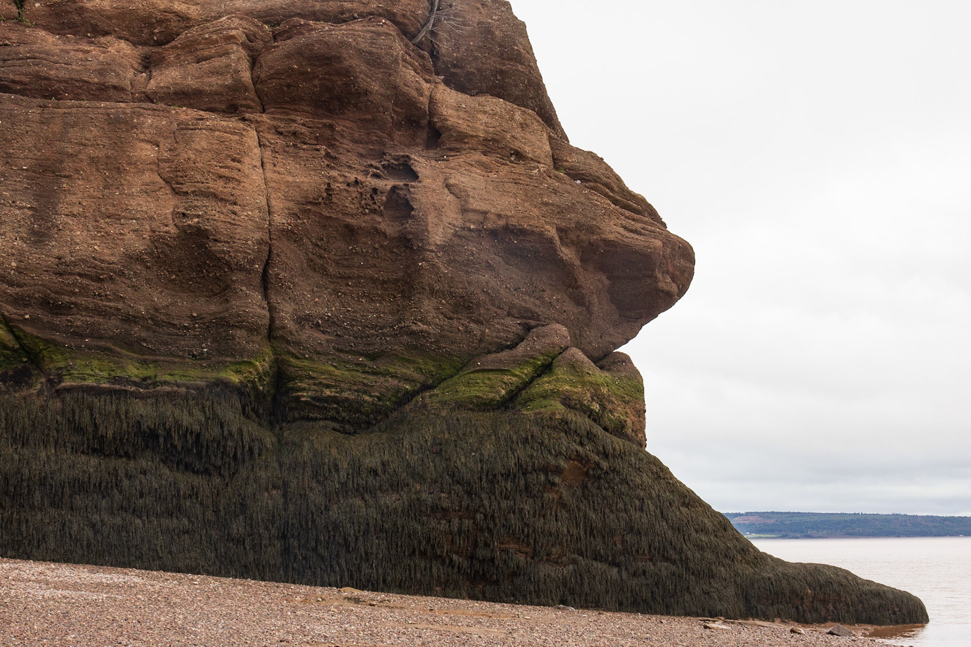 Hopewell Rocks PP, New Brunswick