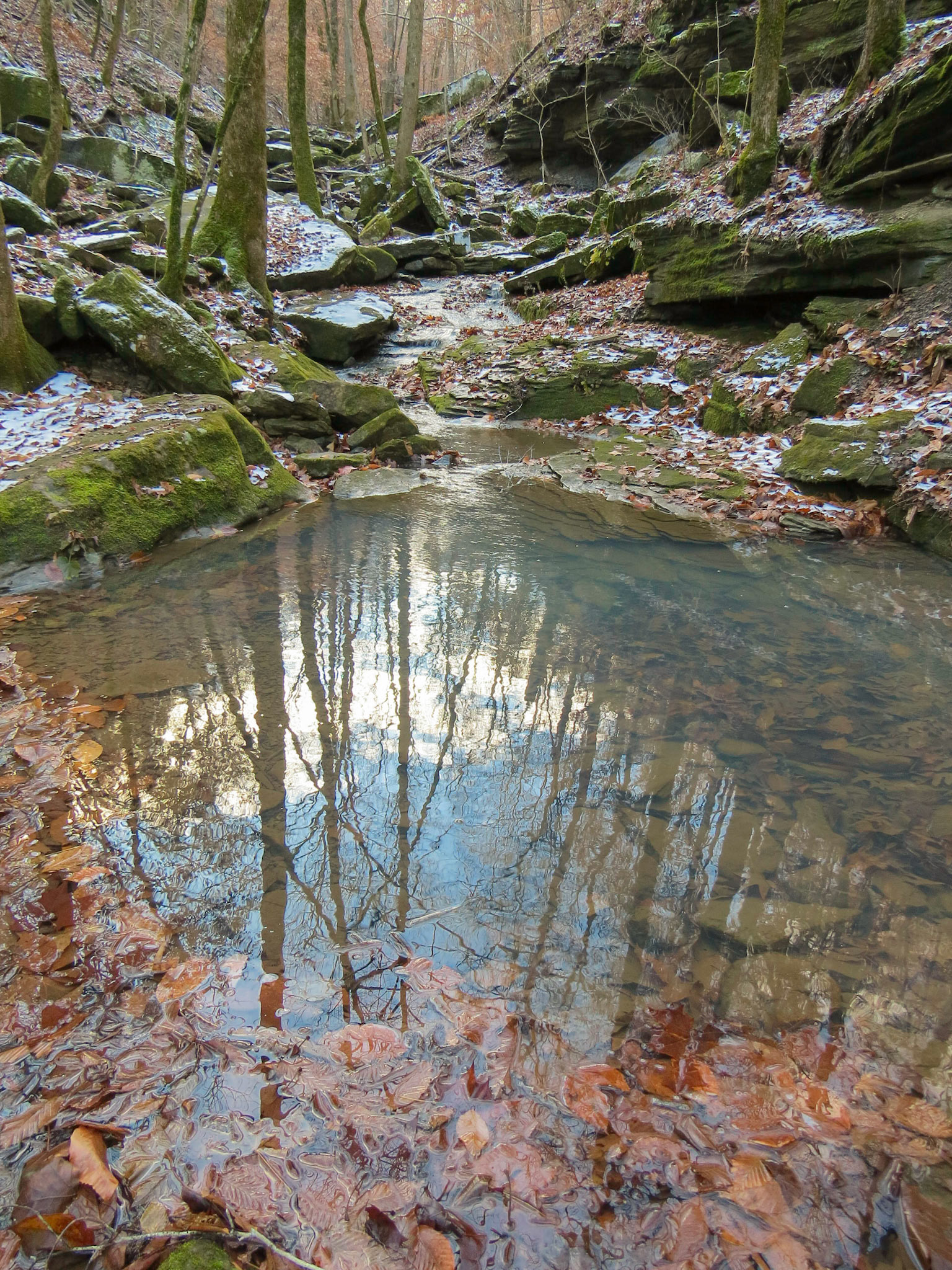 Haw Creek Rec Area, Limestone AR