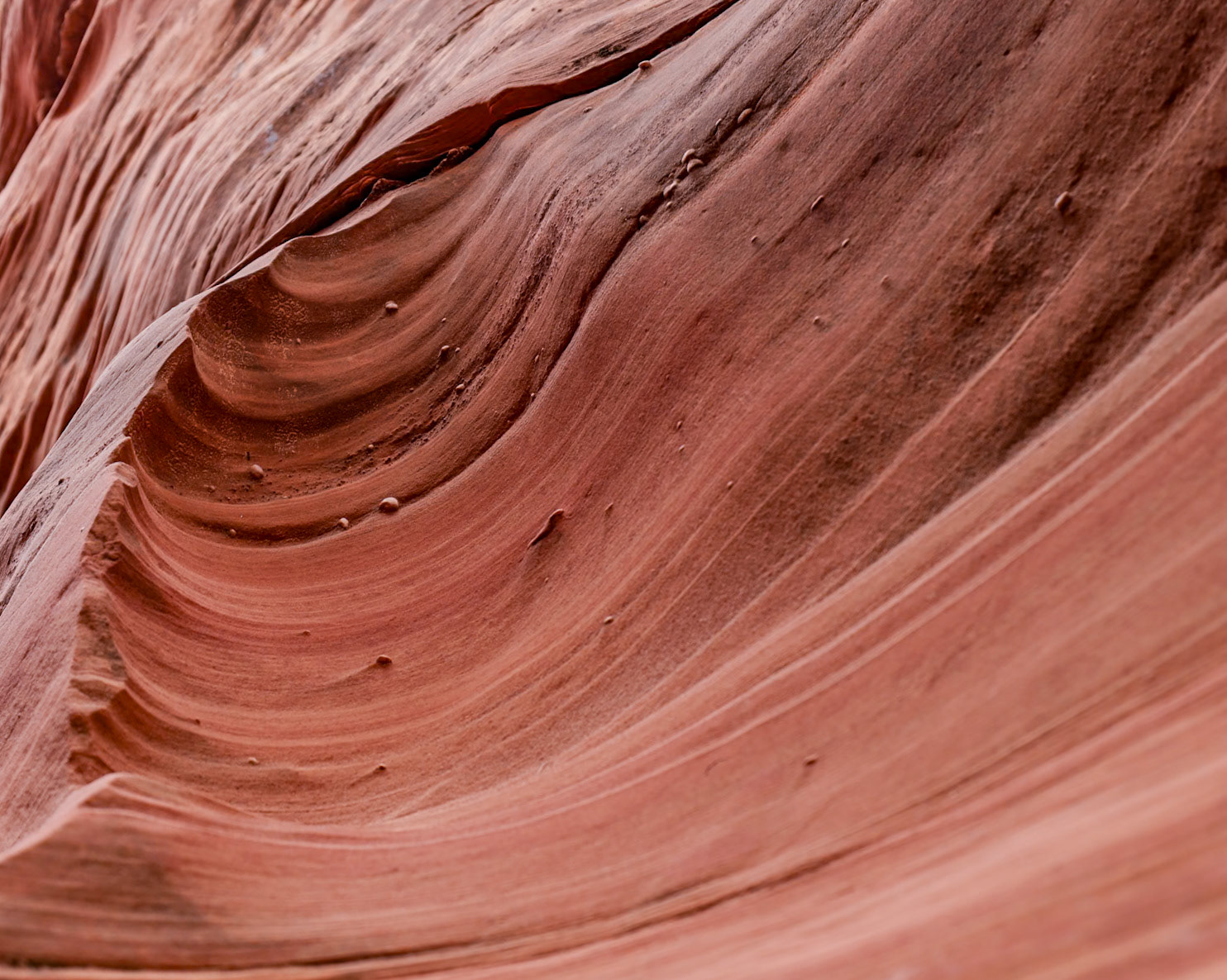 Waterholes Slot Canyon, Page AZ