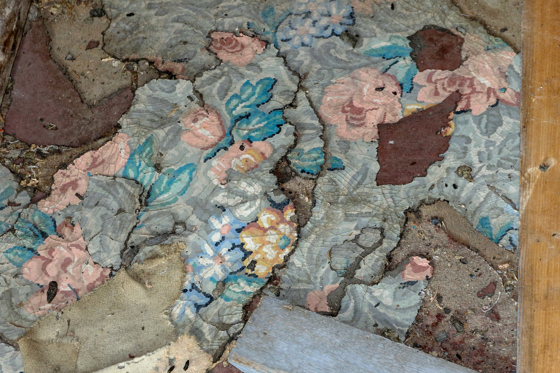 Mill Creek, Tobbacco Root Mts  MT