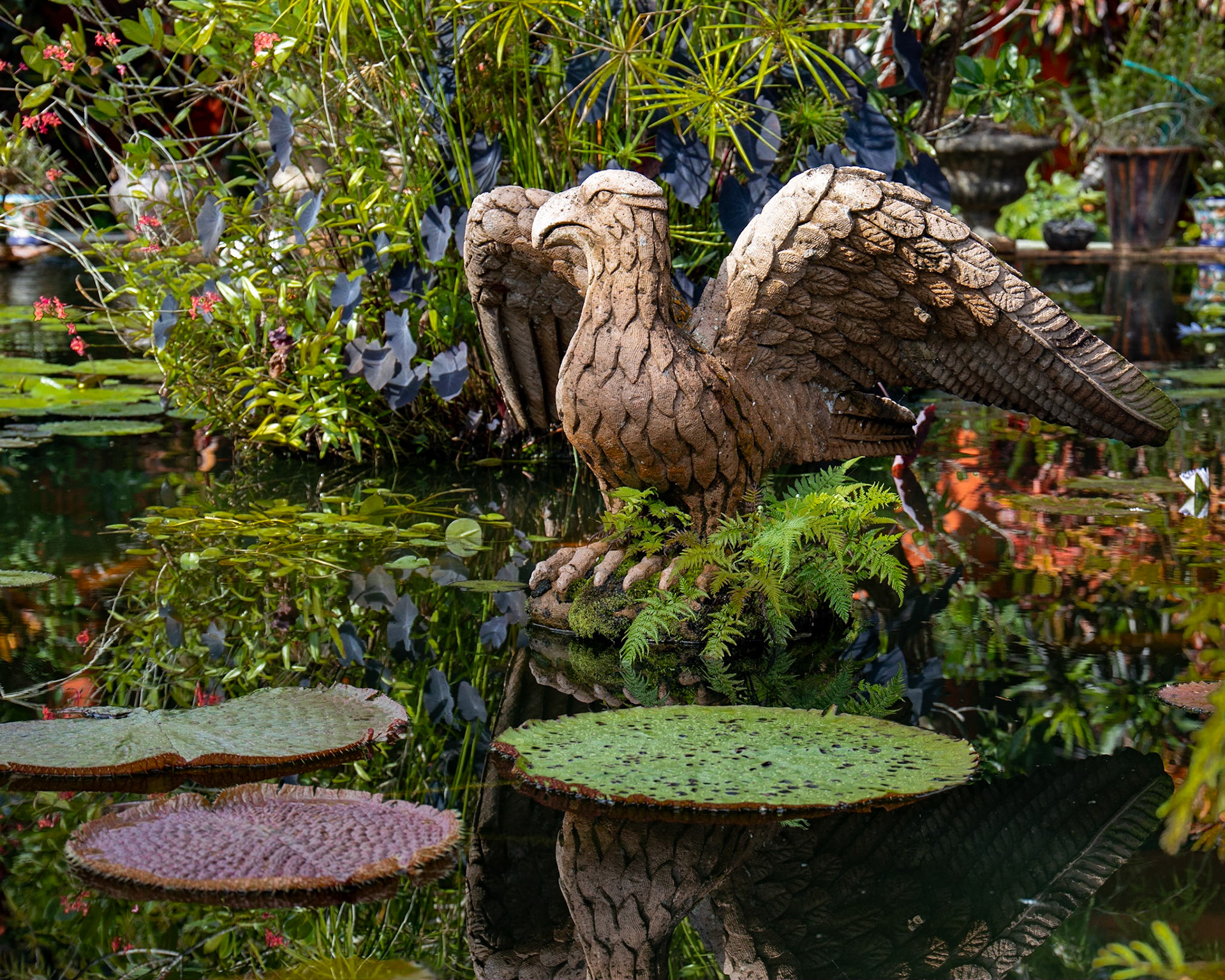 Vallata Botanical Garden, Jalisca Mexico