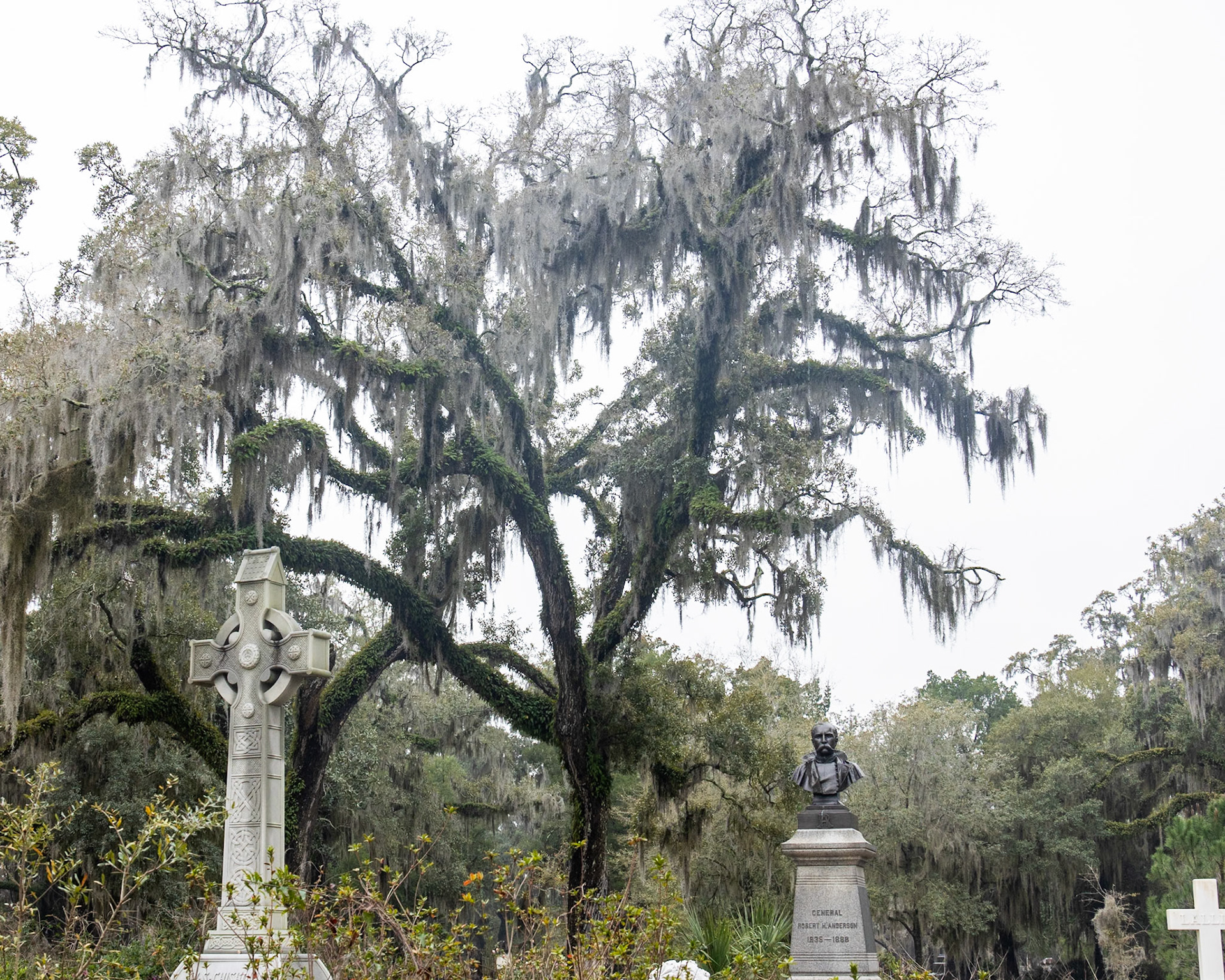 Bonaventure Cemetery, Savannah GA