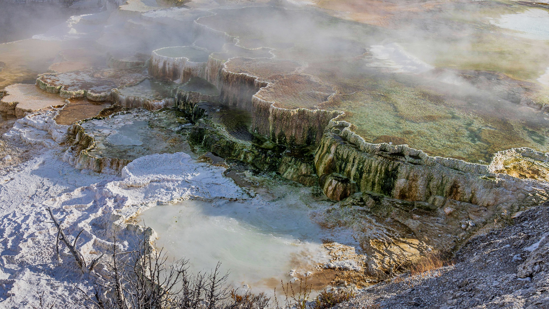 Mammoth Hot Springs, Yellowstone NP WY