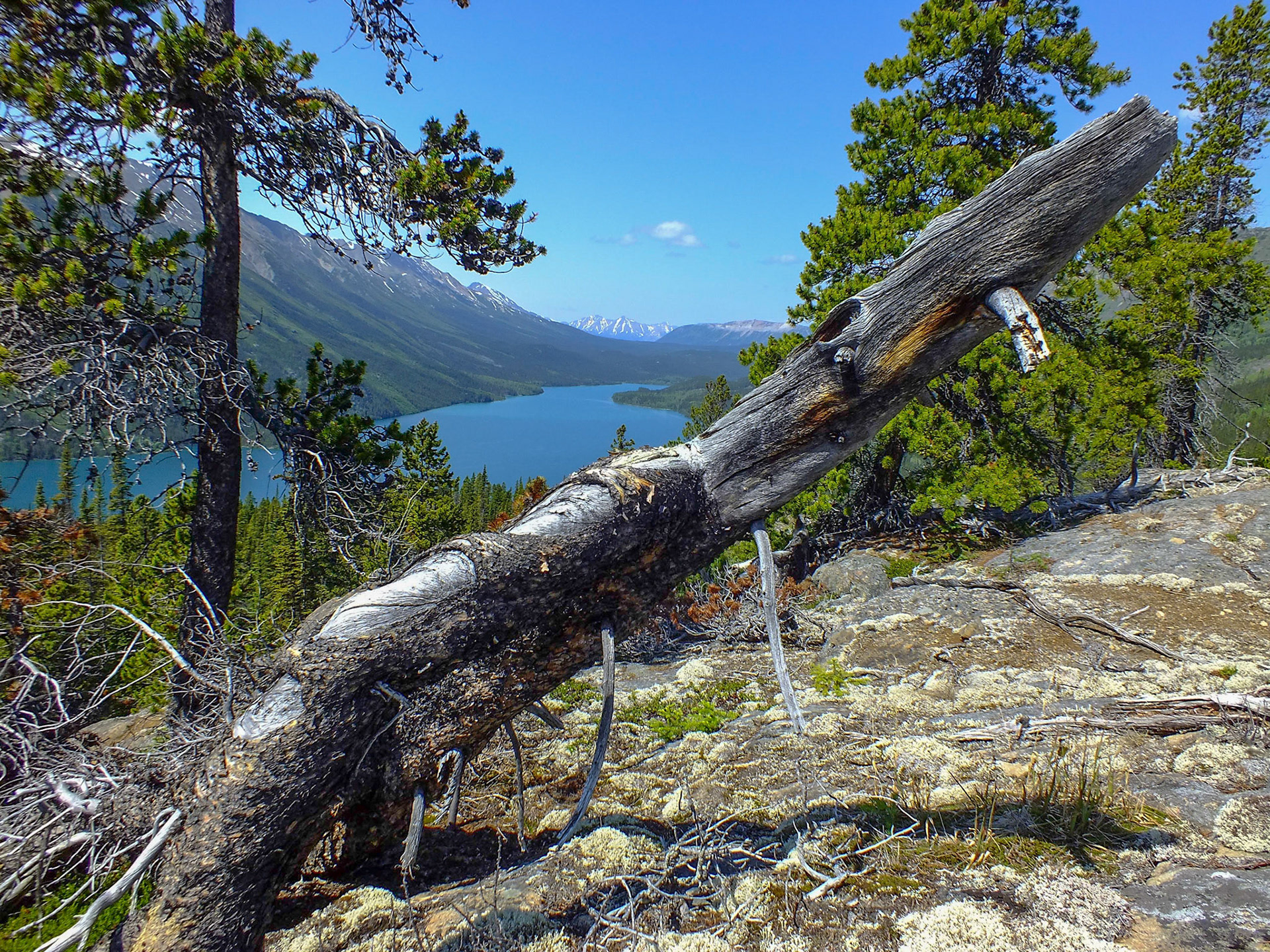 Tatsamenie Lake, British Columbia