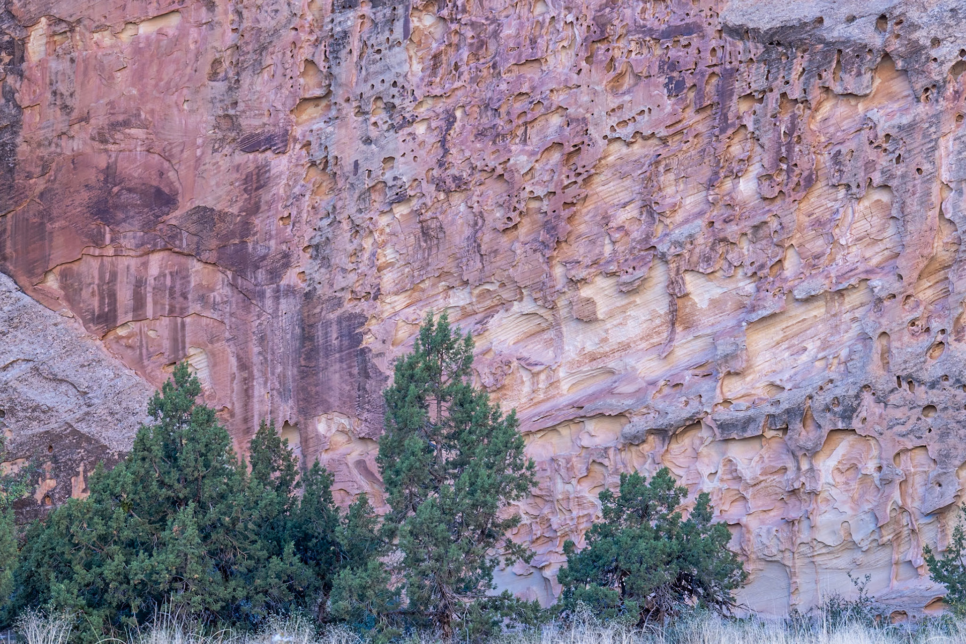 Capital Gorge Road, Fruita UT