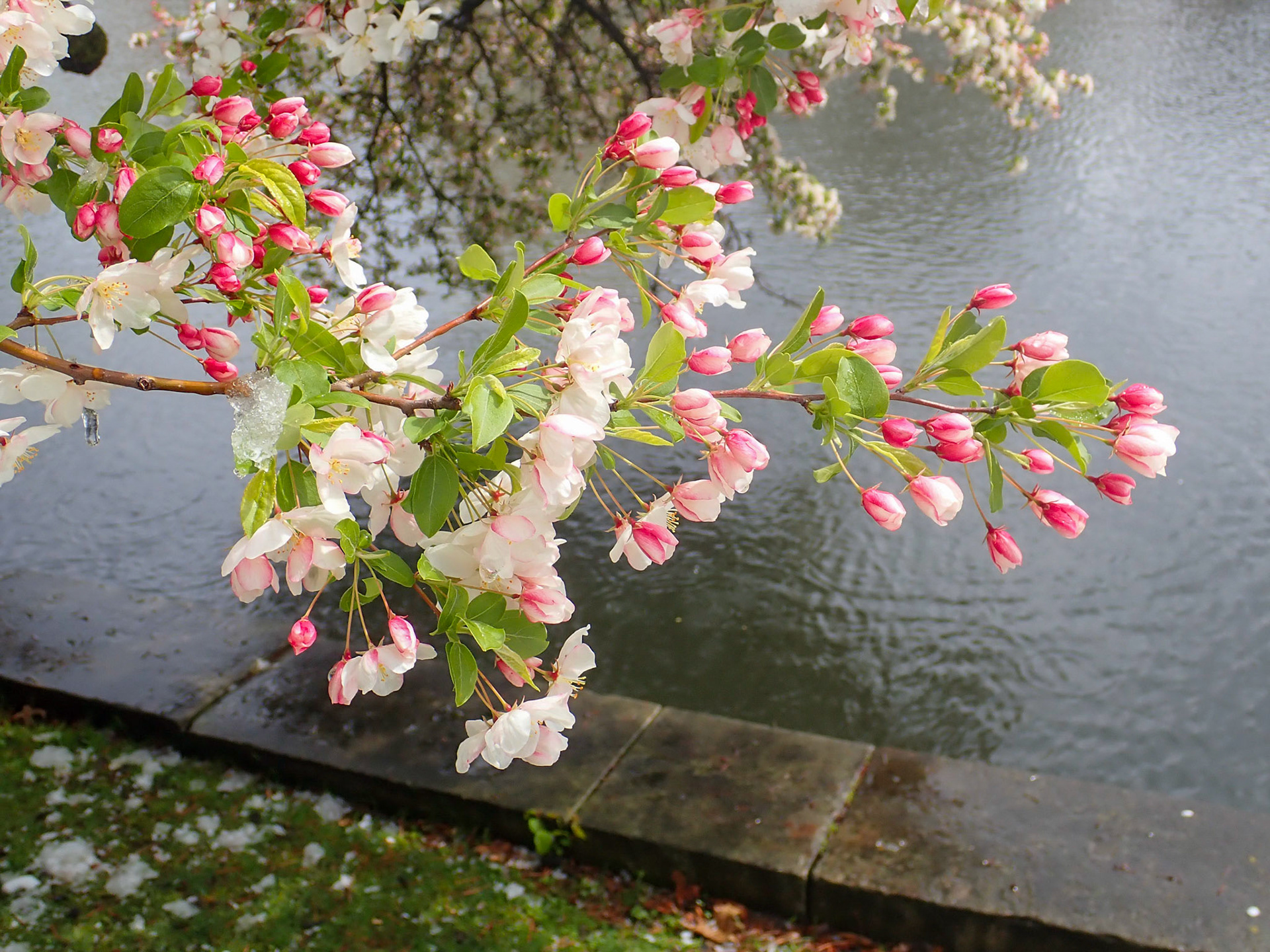 Wade Park, Cleveland OH