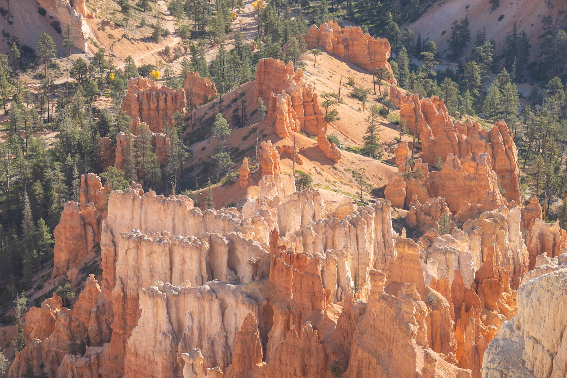 Bryce Canyon, Bryce Canyon NP, Tropic UT