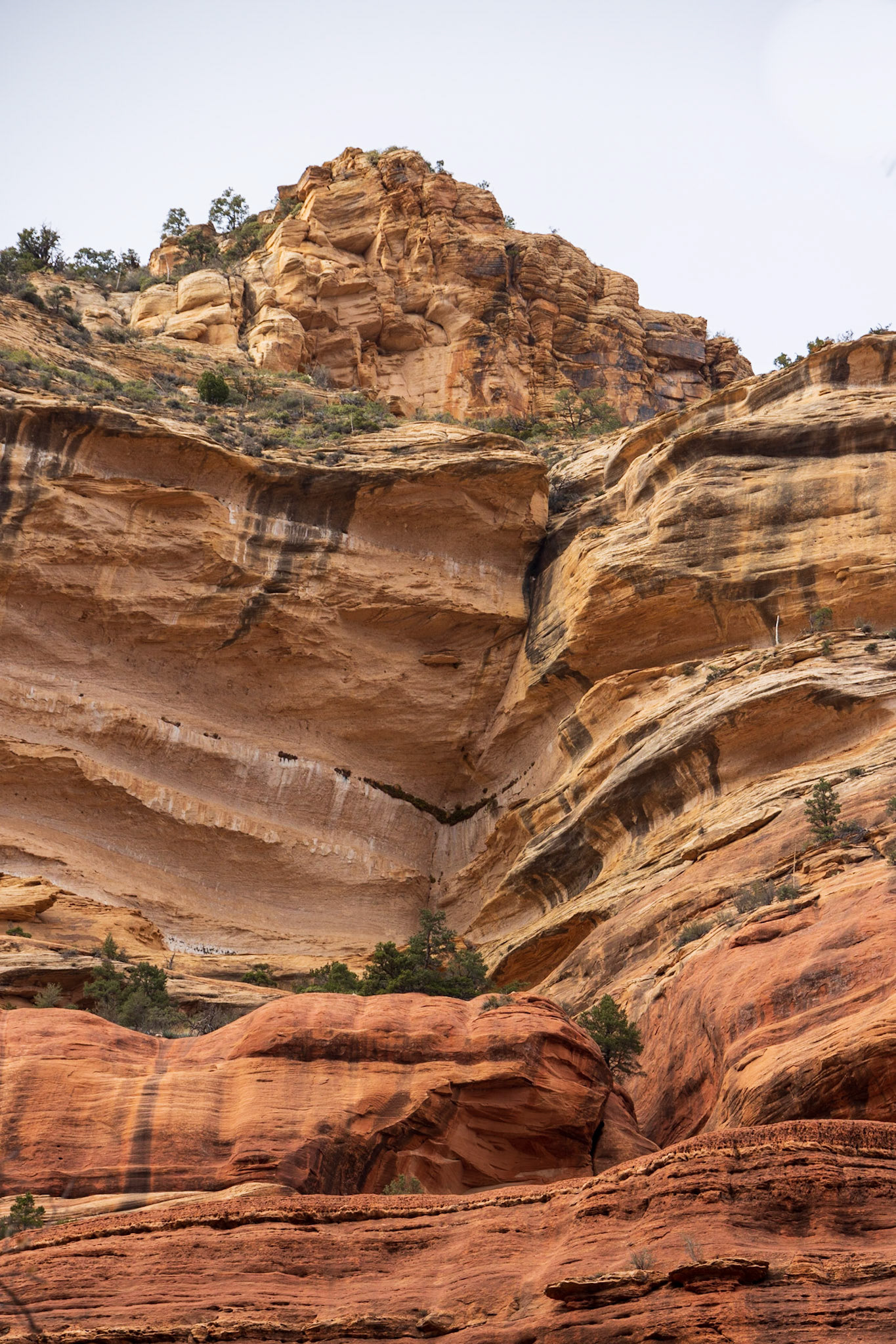 Boynton Canyon Trail, Sedona AZ