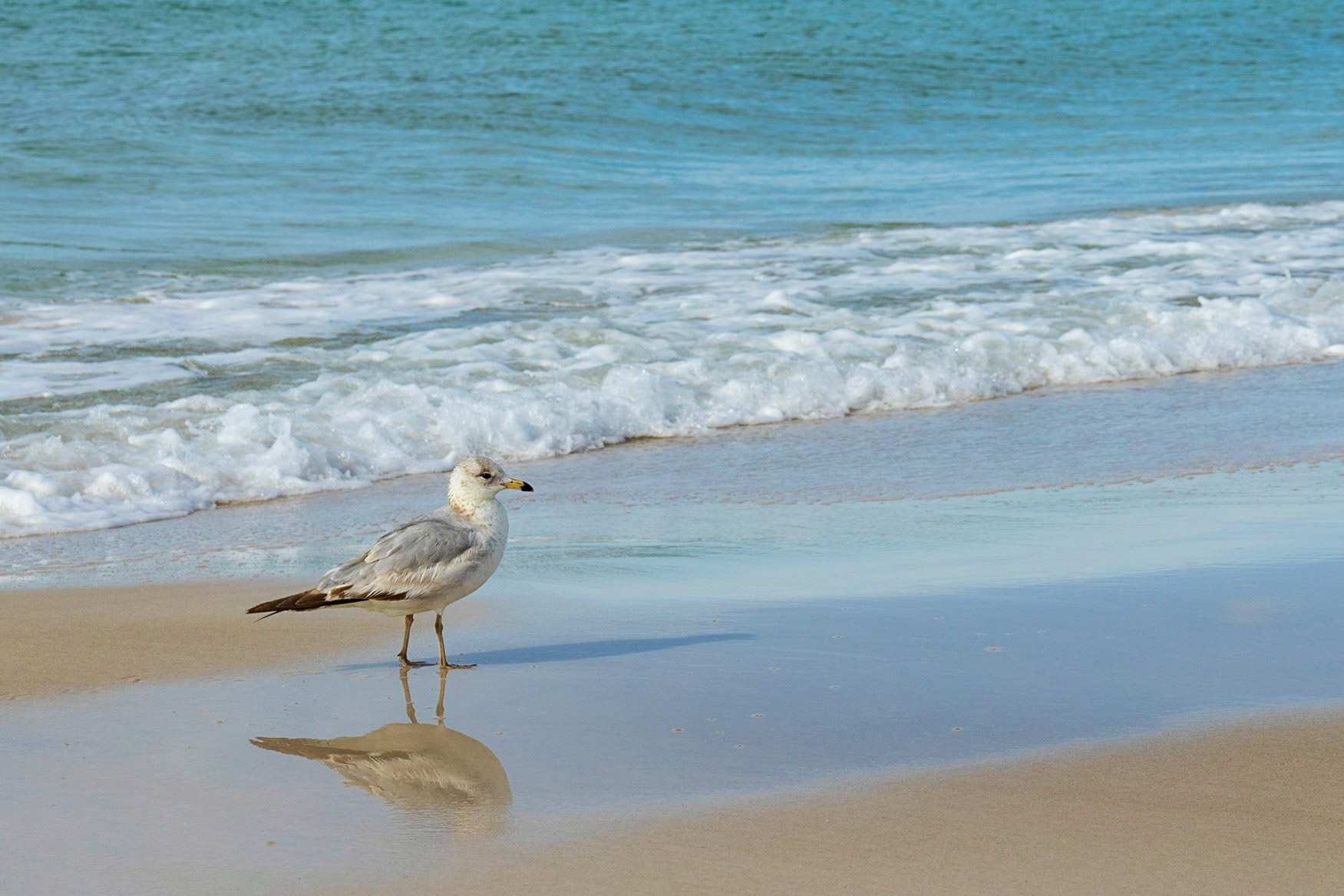 St Andrews State Park