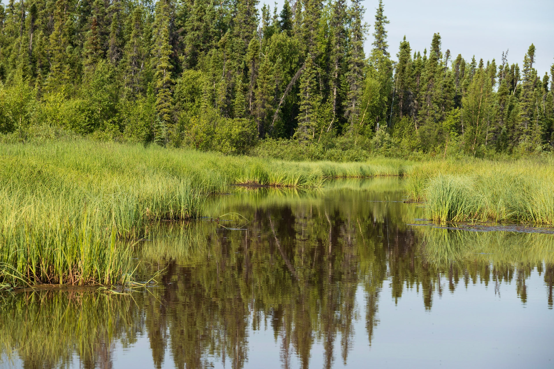 Chulitna River, AK