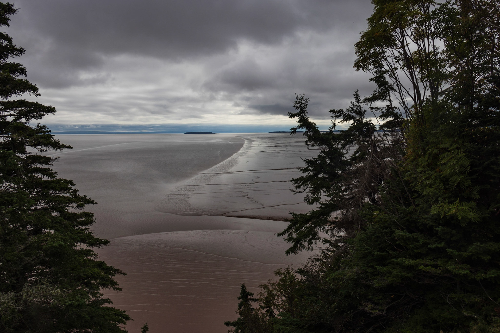 Hopewell Rocks PP, New Brunswick