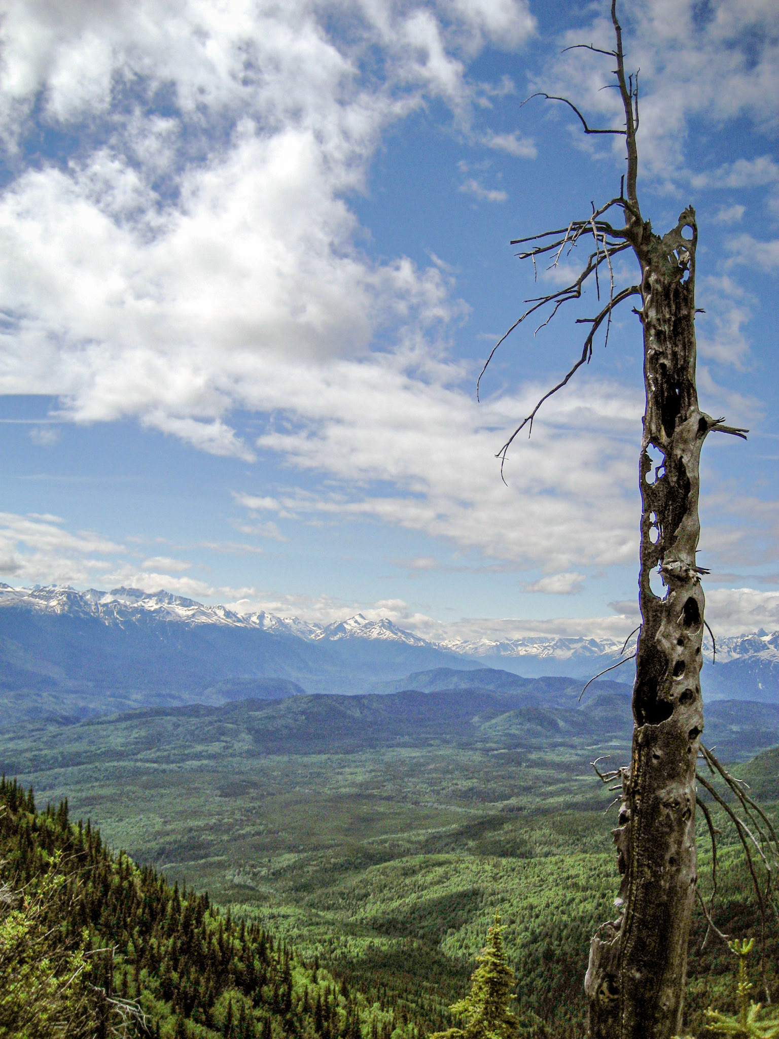 Grass Mountain, British Columbia