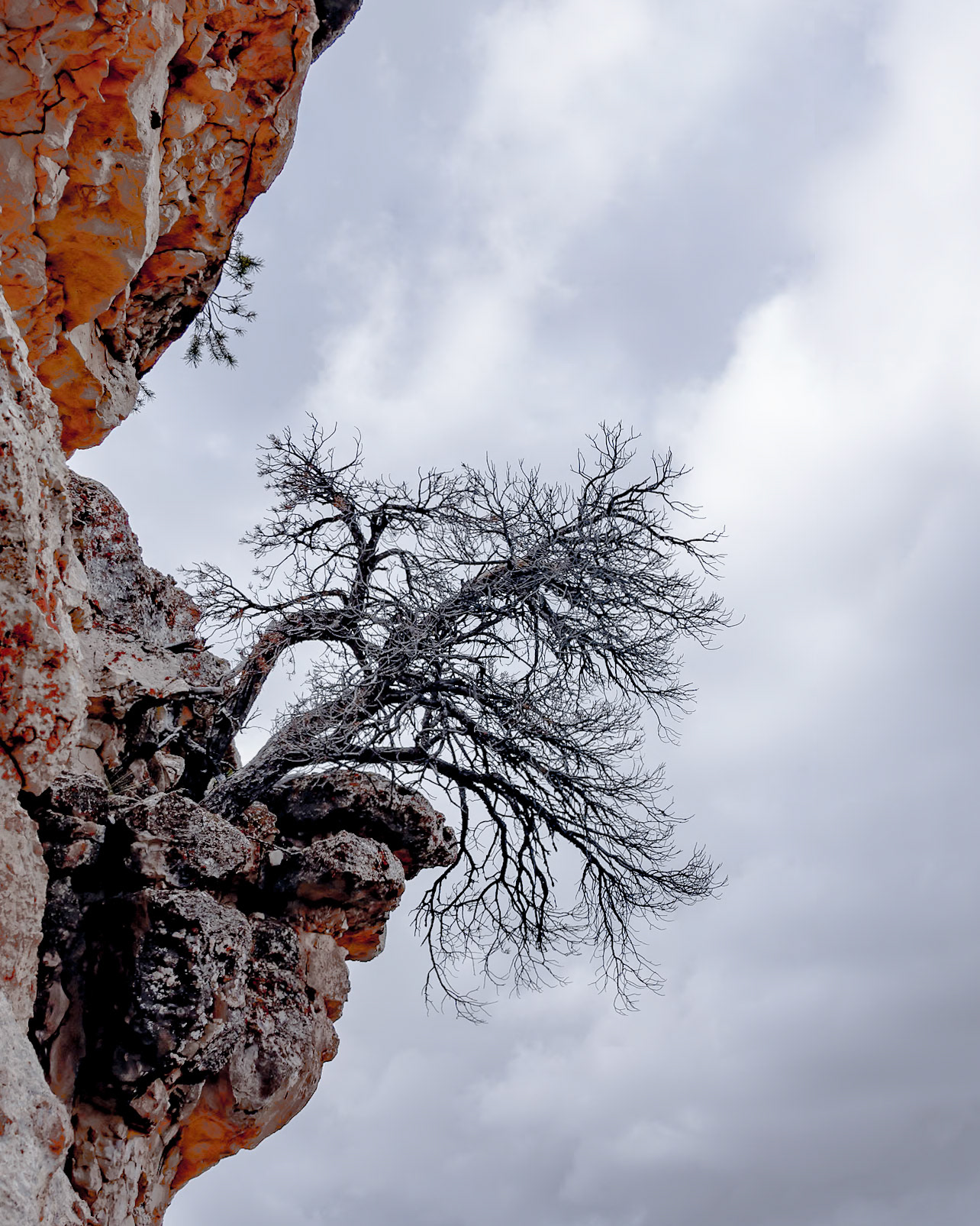 North Rim, Grand Canyon NP AZ