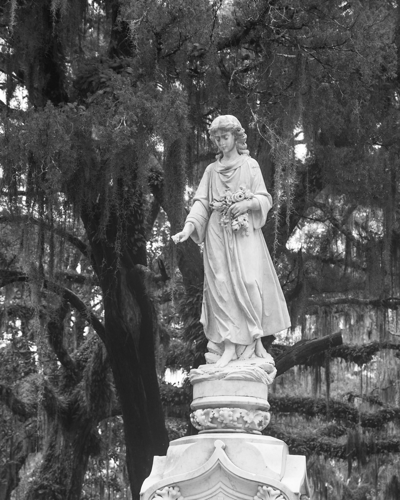 Bonaventure Cemetery, Savannah GA