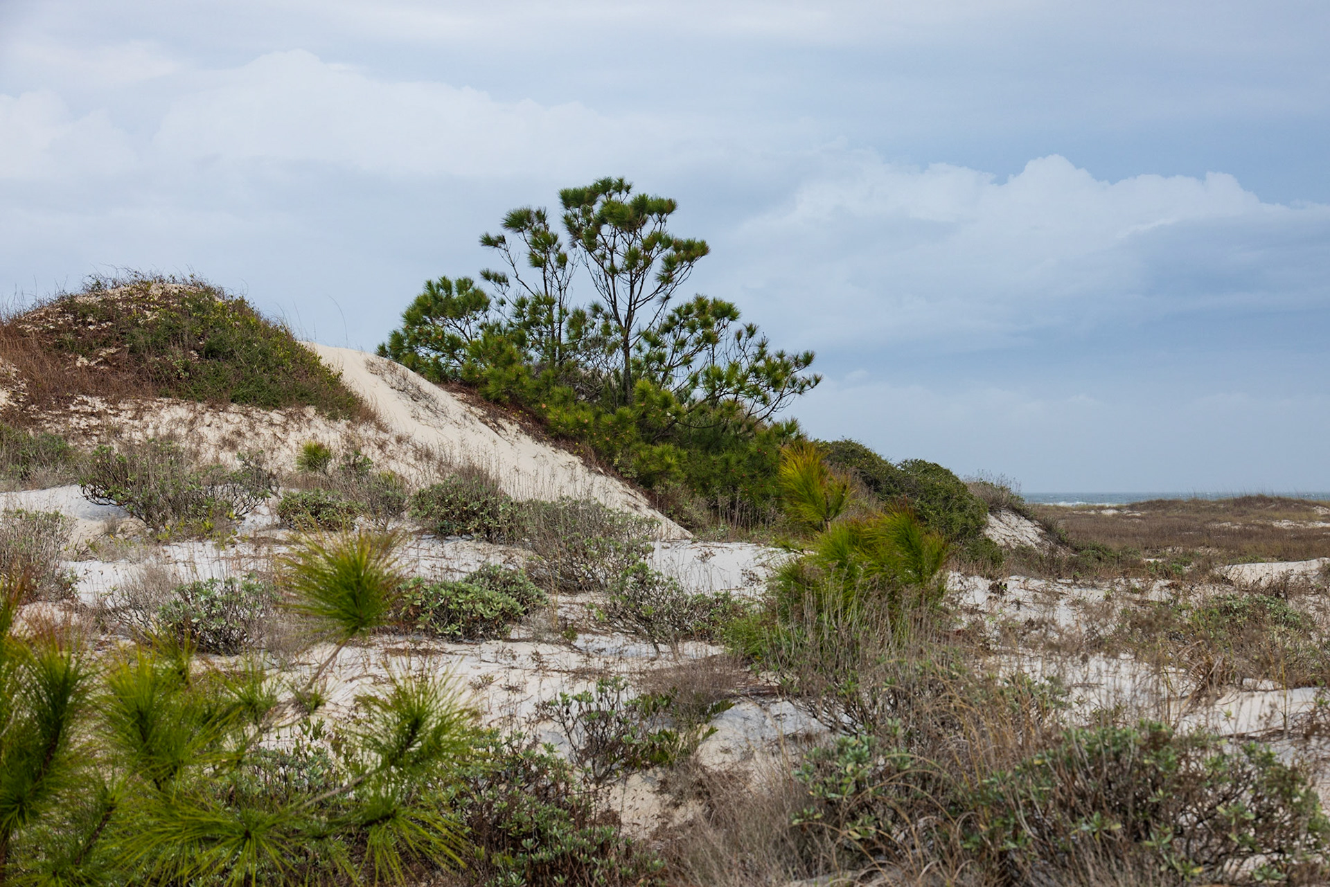 Saint George Island SP,FL
