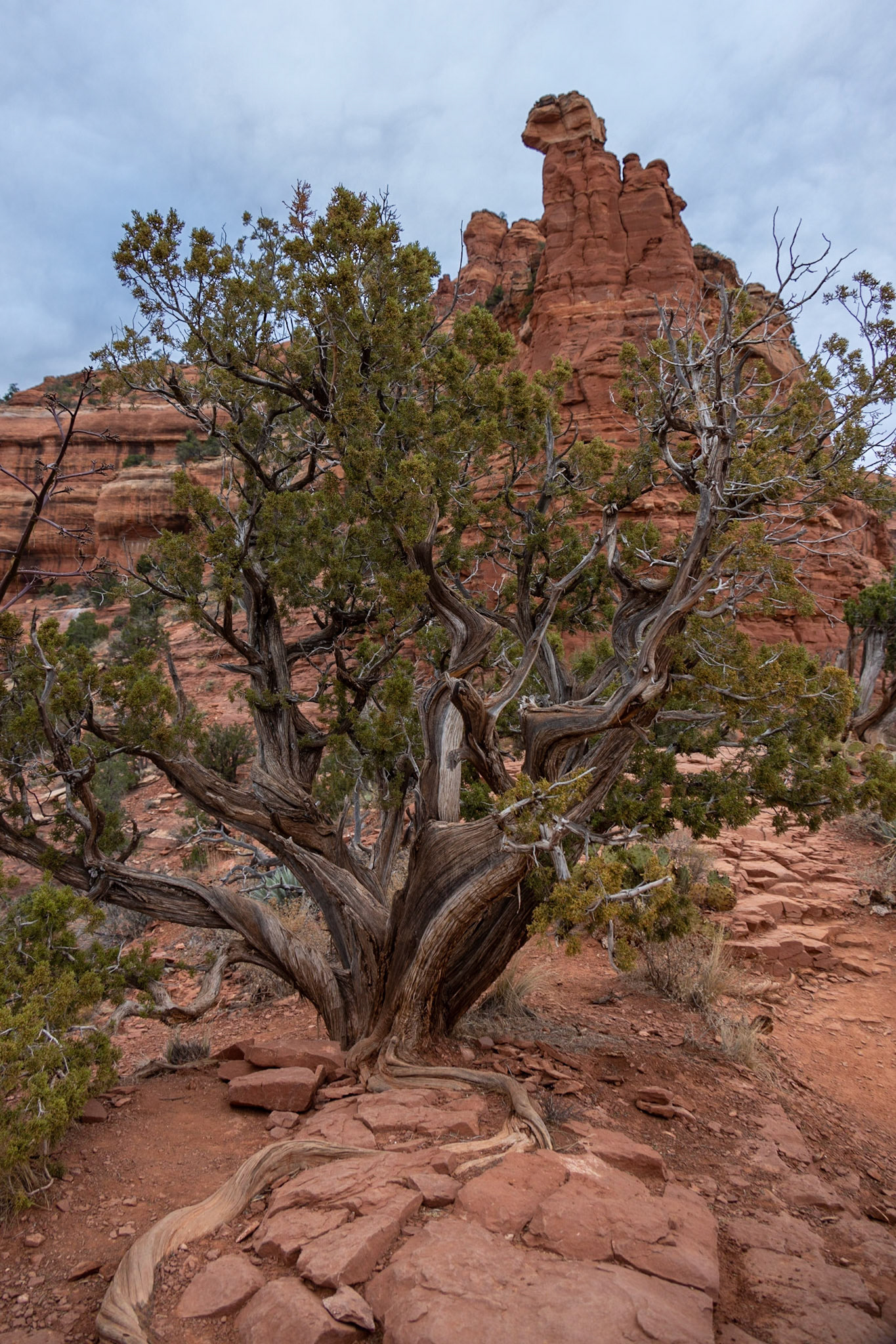 Boynton Canyon Trail, Sedona AZ