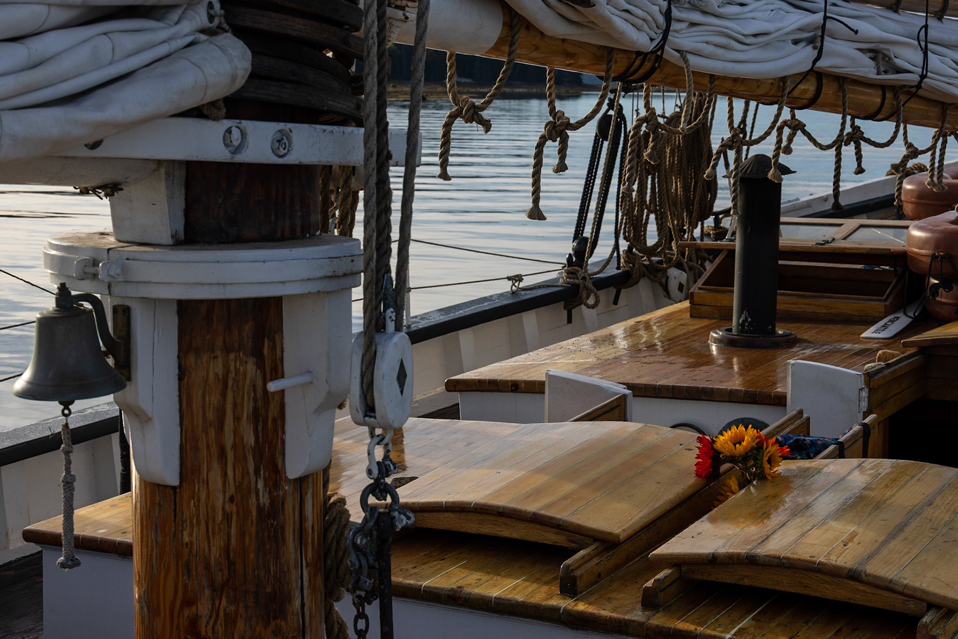 Warren Island State Park, ME