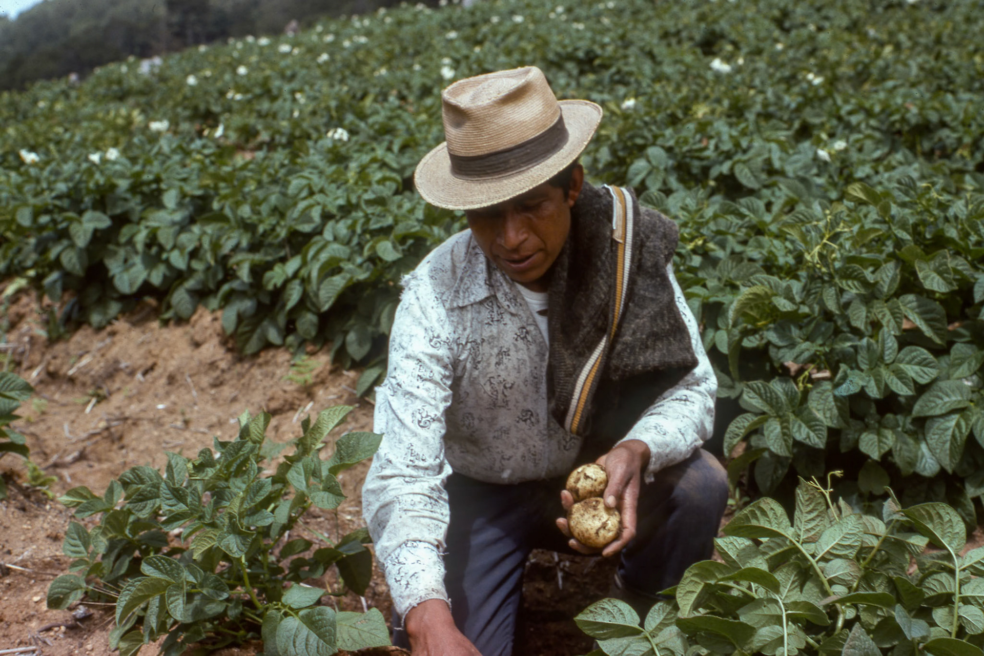 Cunen del Quiche, Gautemala