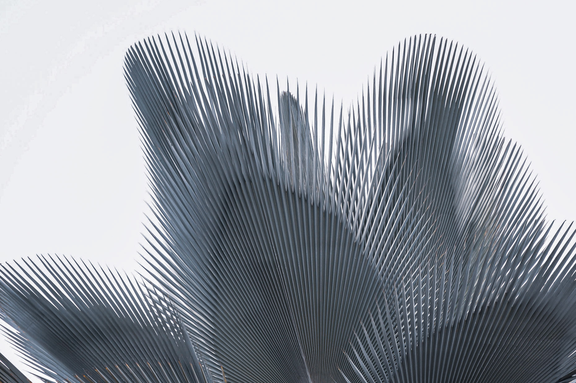 Key West Tropical Forest and Botanical Garden FL