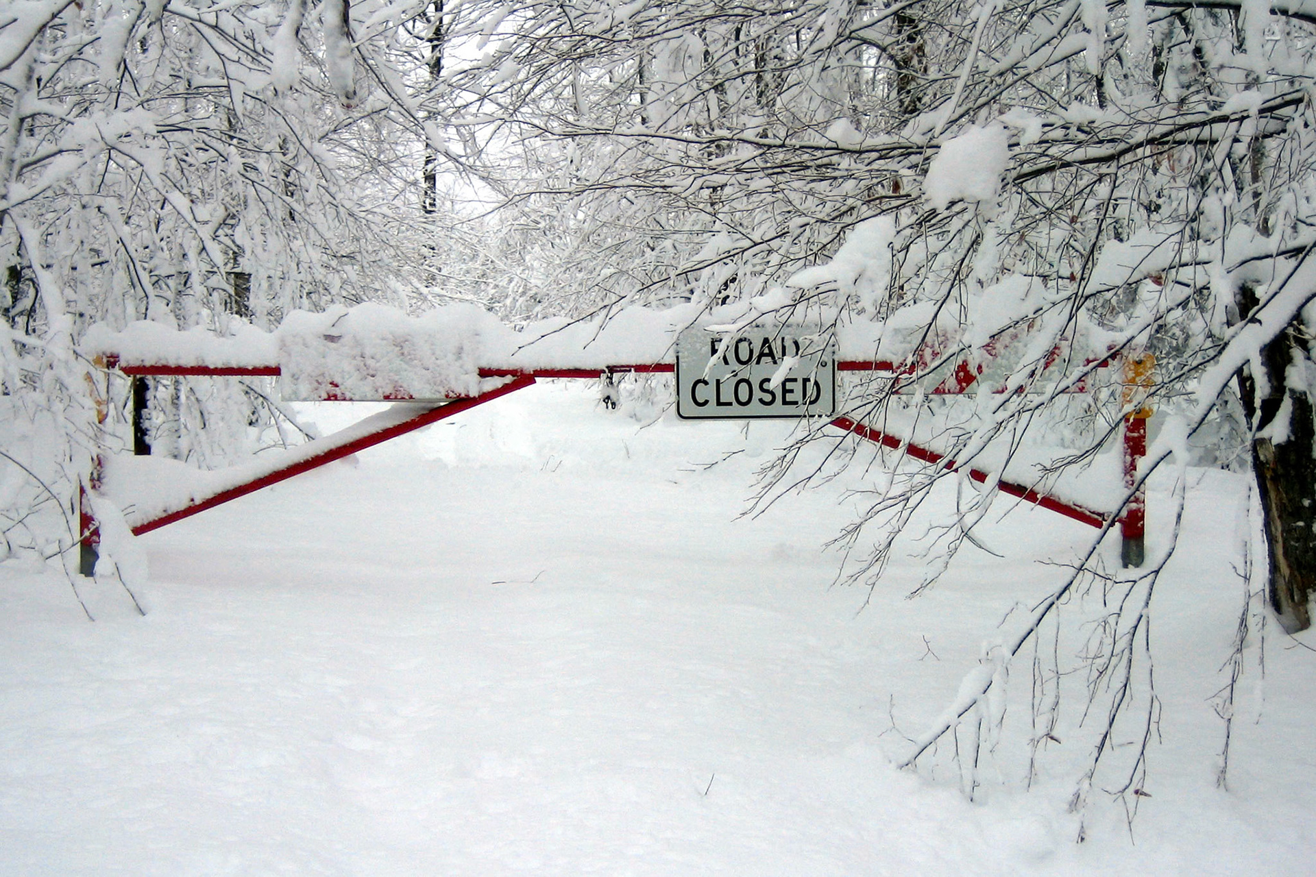 Back Forty, Ottawa NF