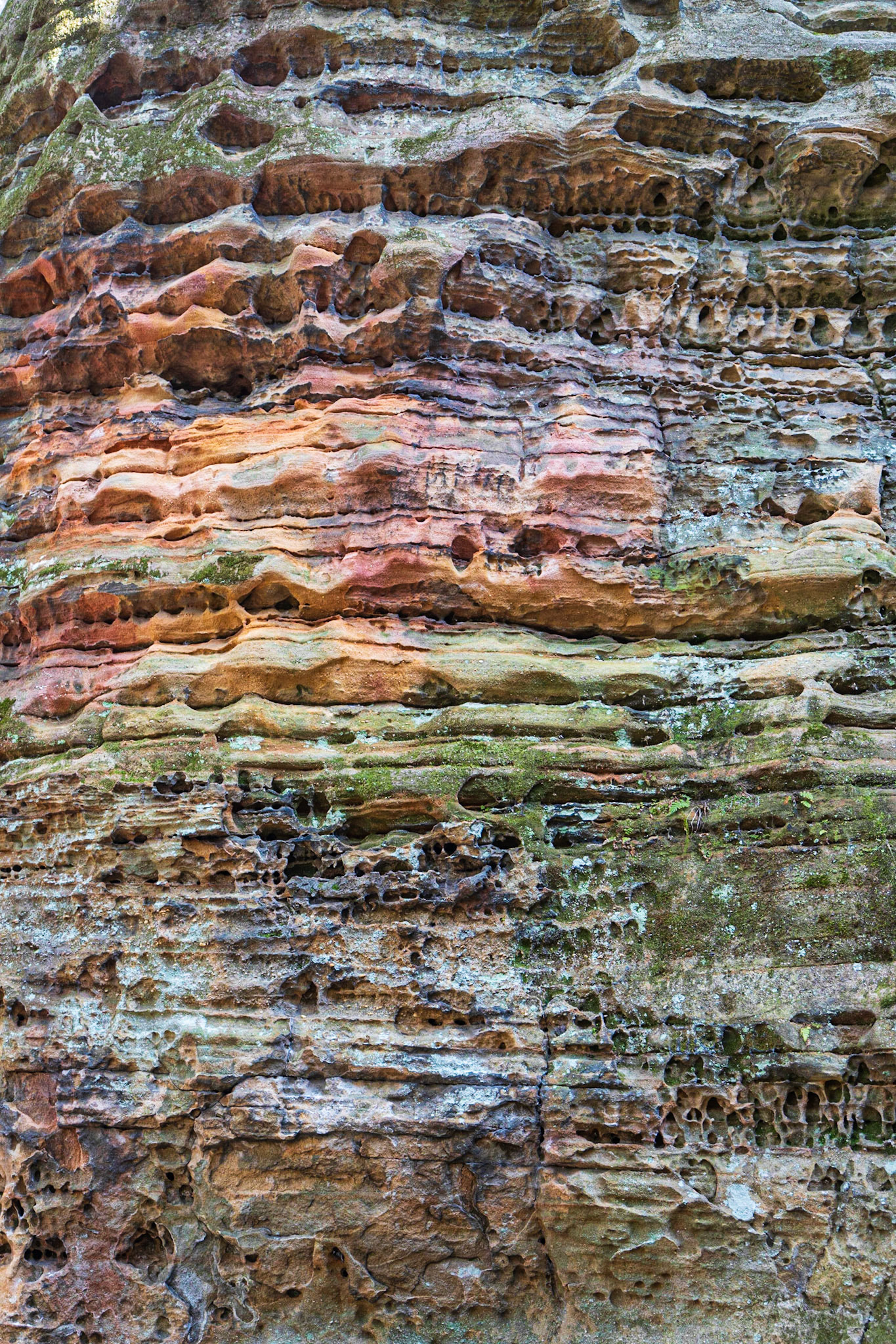 Cantwell Cliffs, Ohio