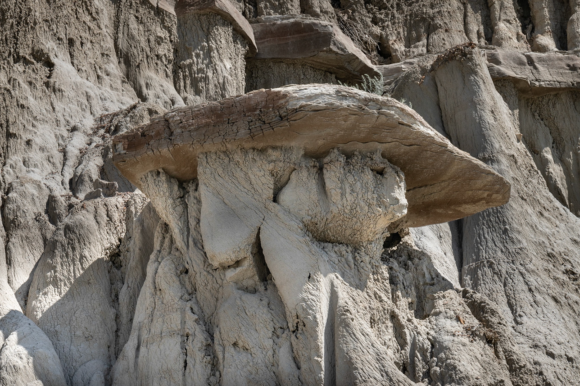 Theodore Roosevelt NP, North Unit, ND
