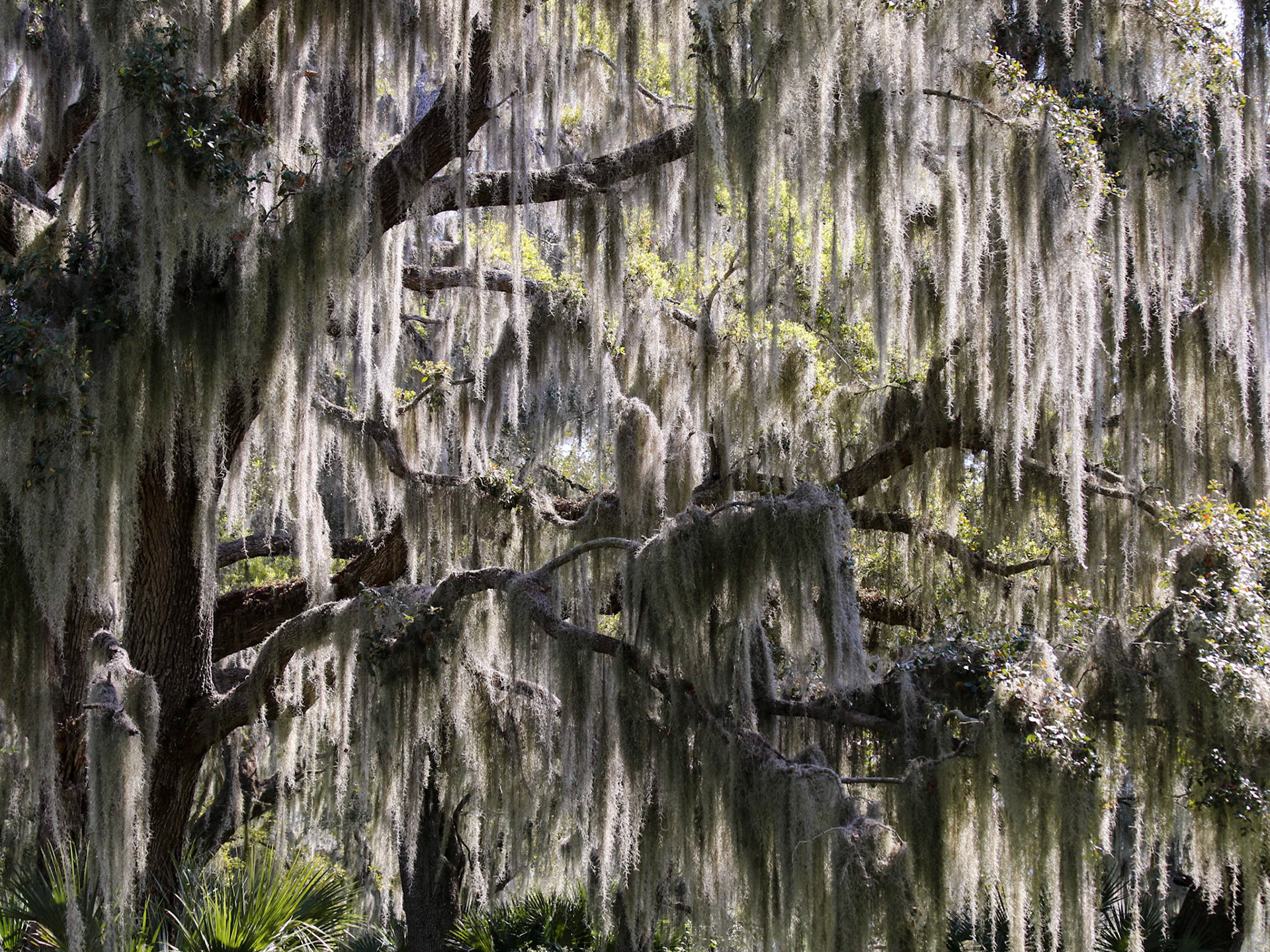 Circle B Bar Reserve, Lakeland FL