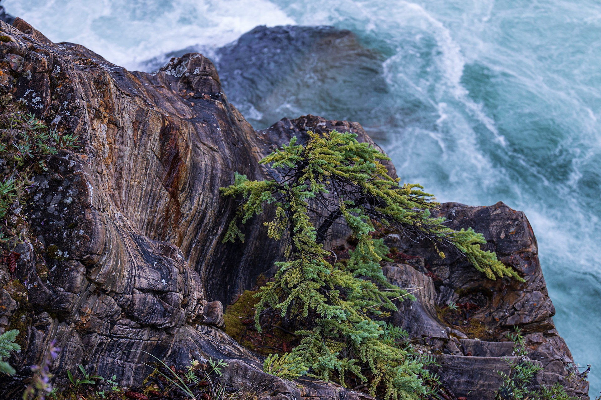 Lapie River, Canol Rd, Yukon