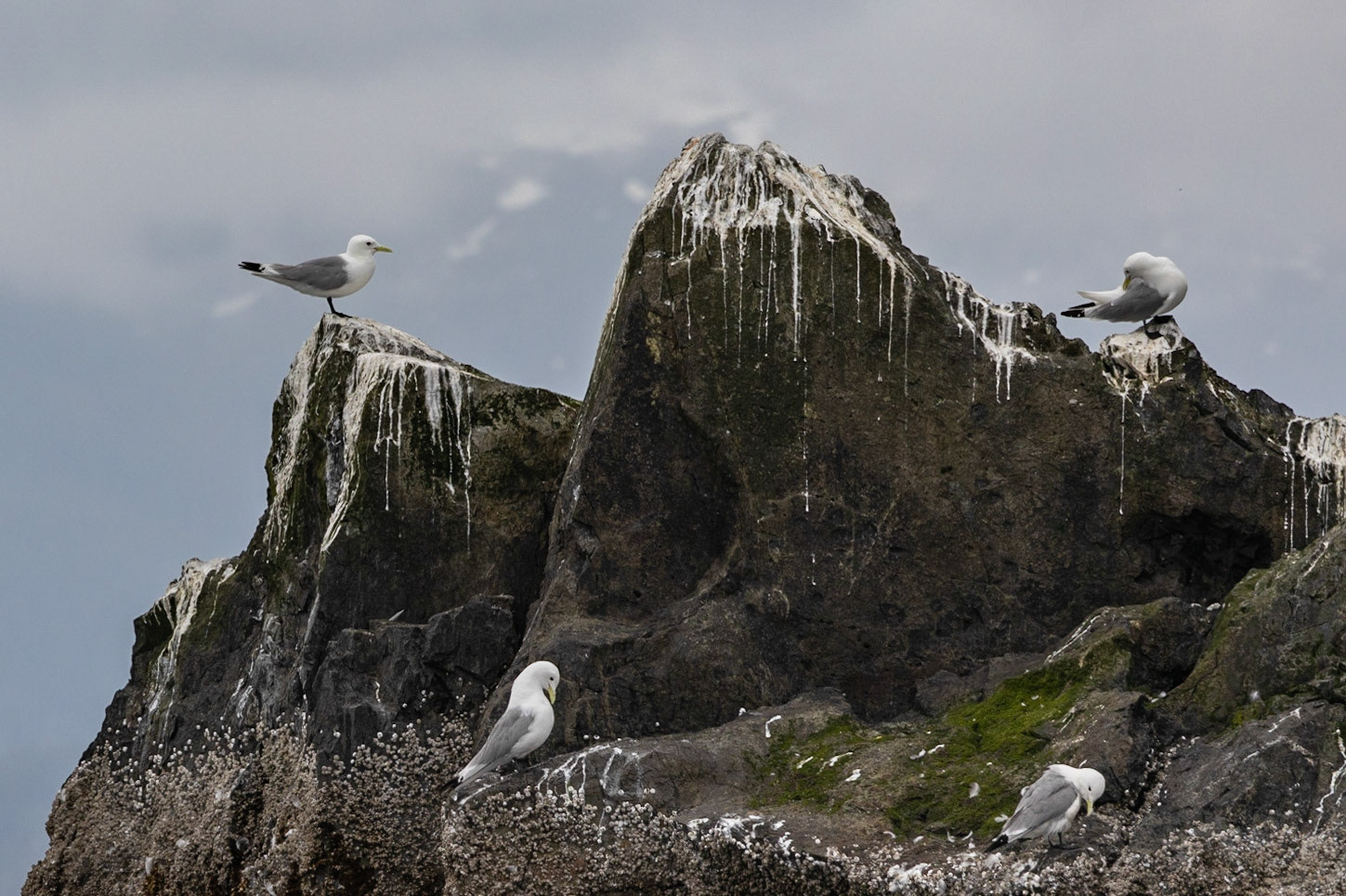 Prince William Sound AK