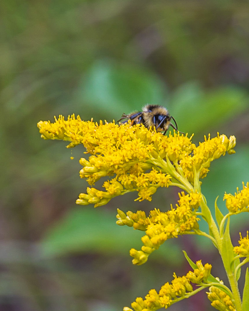 K 94, Expedition 51, QC