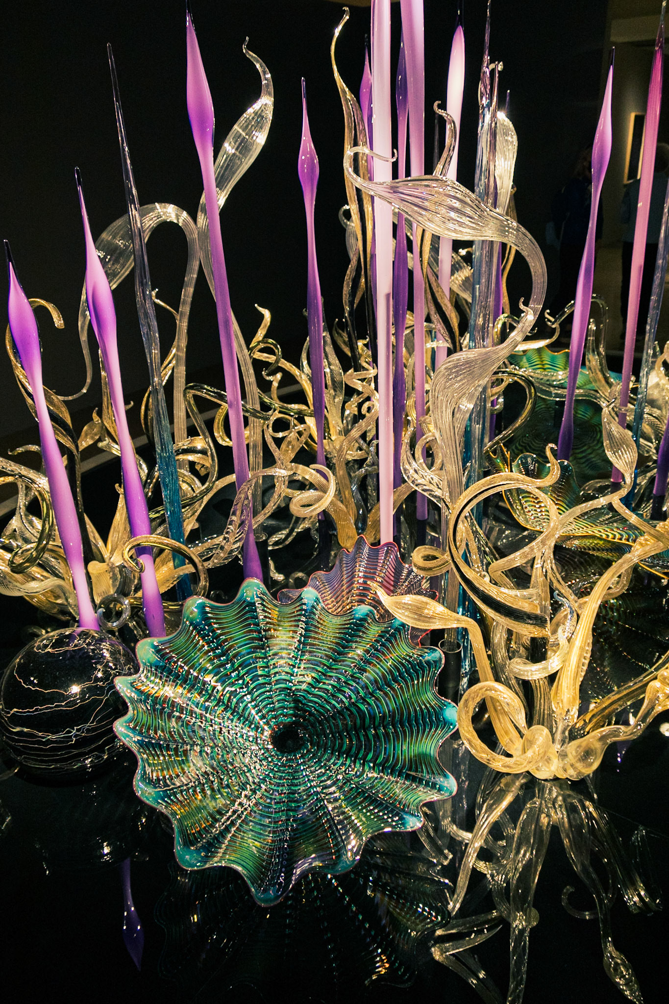 Chuhuly, Desert Botanical Garden, Poenix AZ