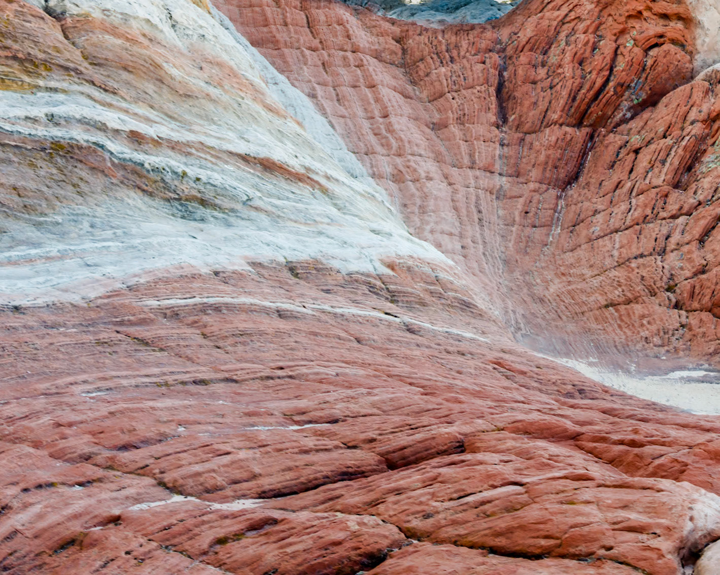 White Pockets, Vermillion Cliffs AZ