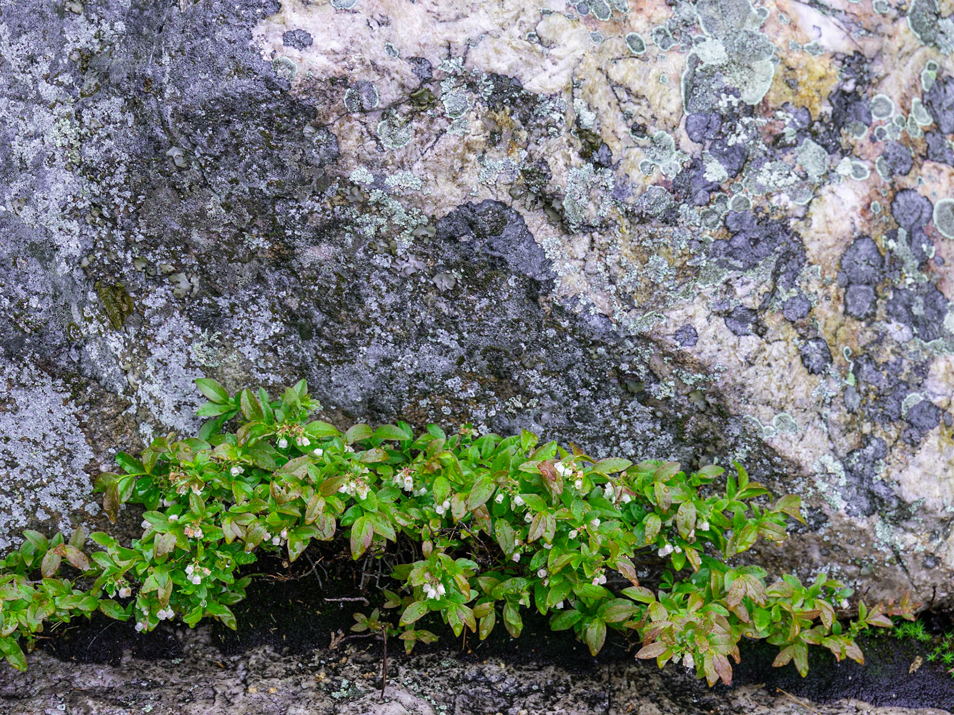 Lake Superior Provincial Park, ON